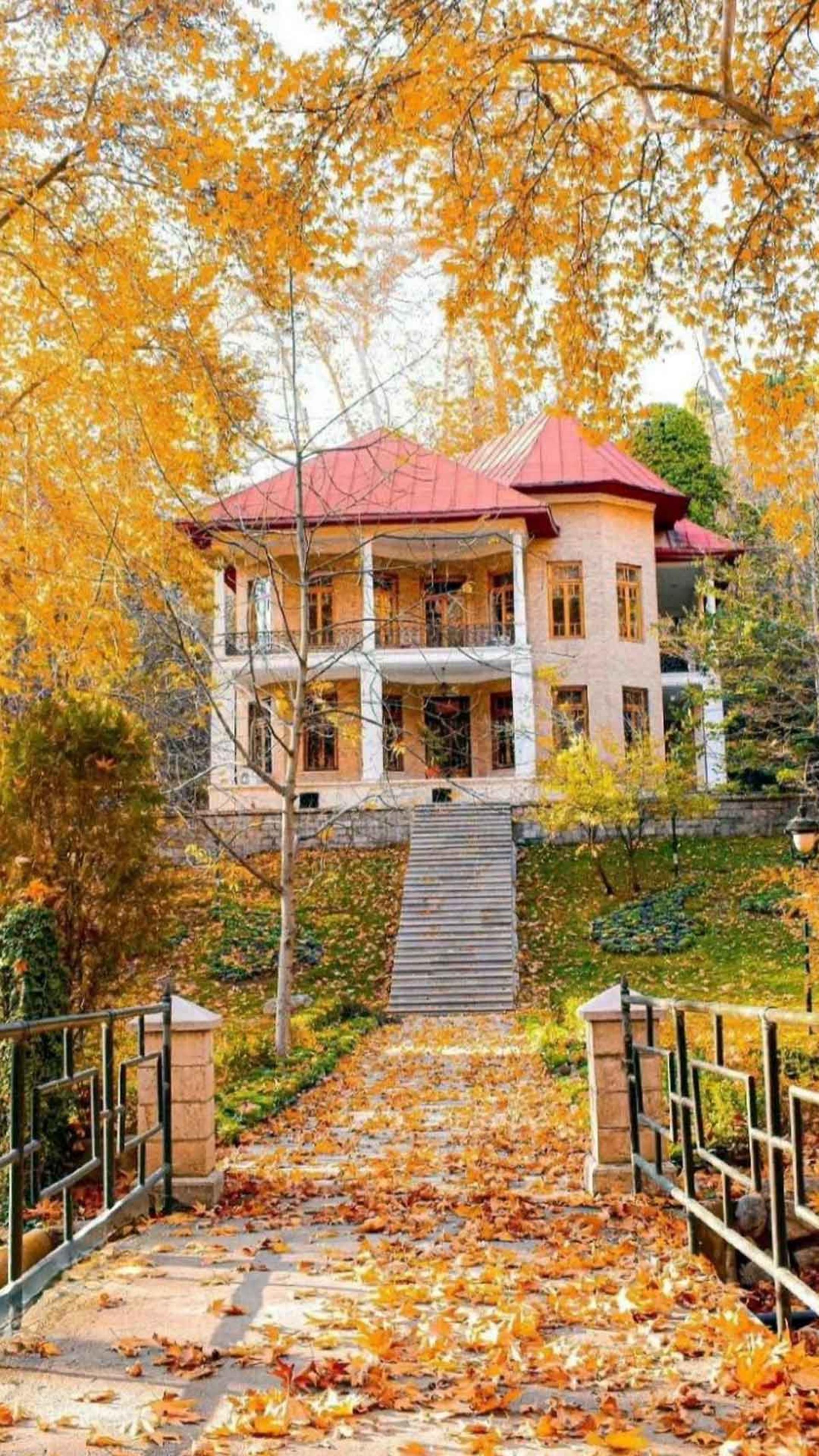 درخشش پاییز در سعدآباد