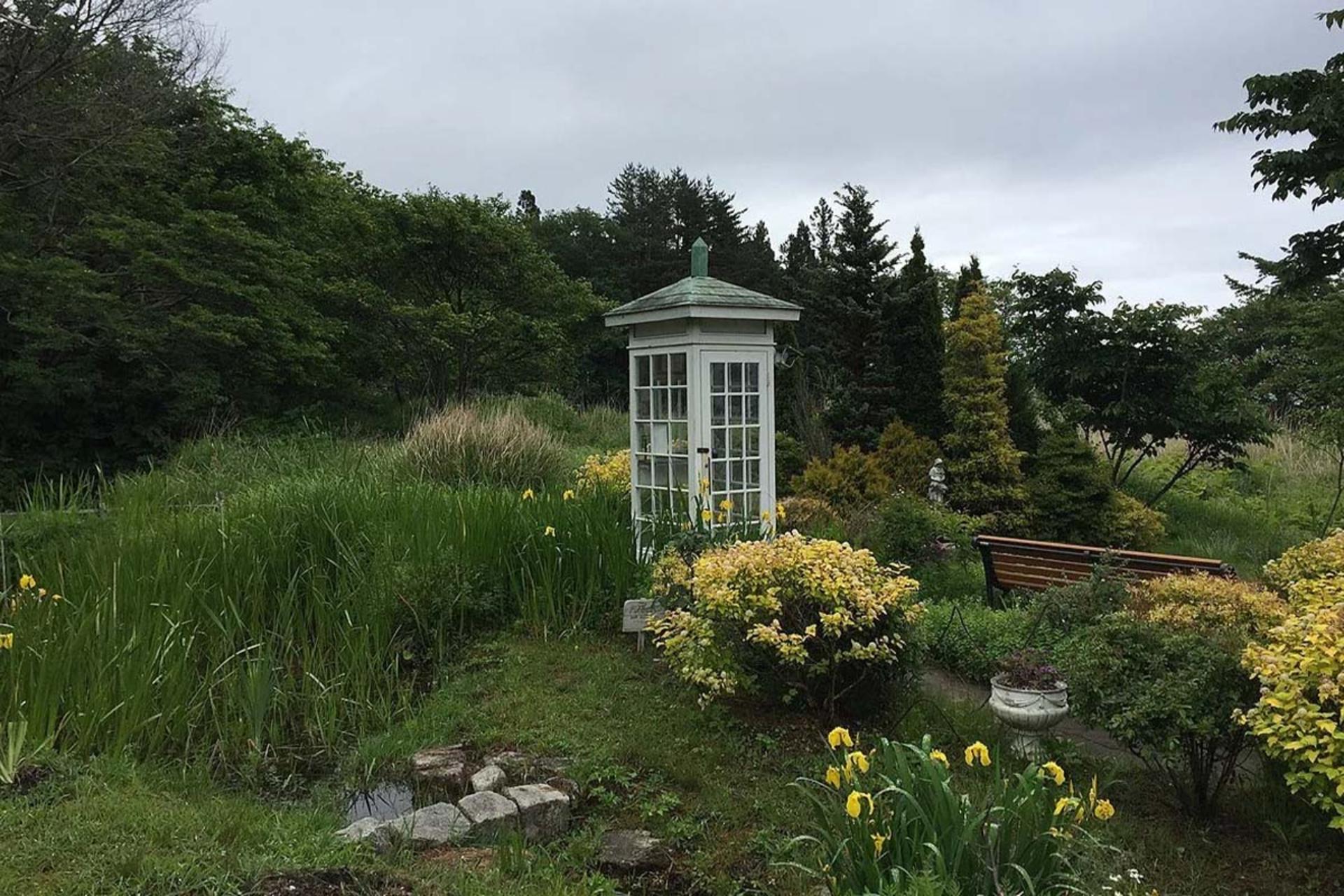 این تلفن به جایی وصل نیست؛ تماسی فراتر از سیم و خط