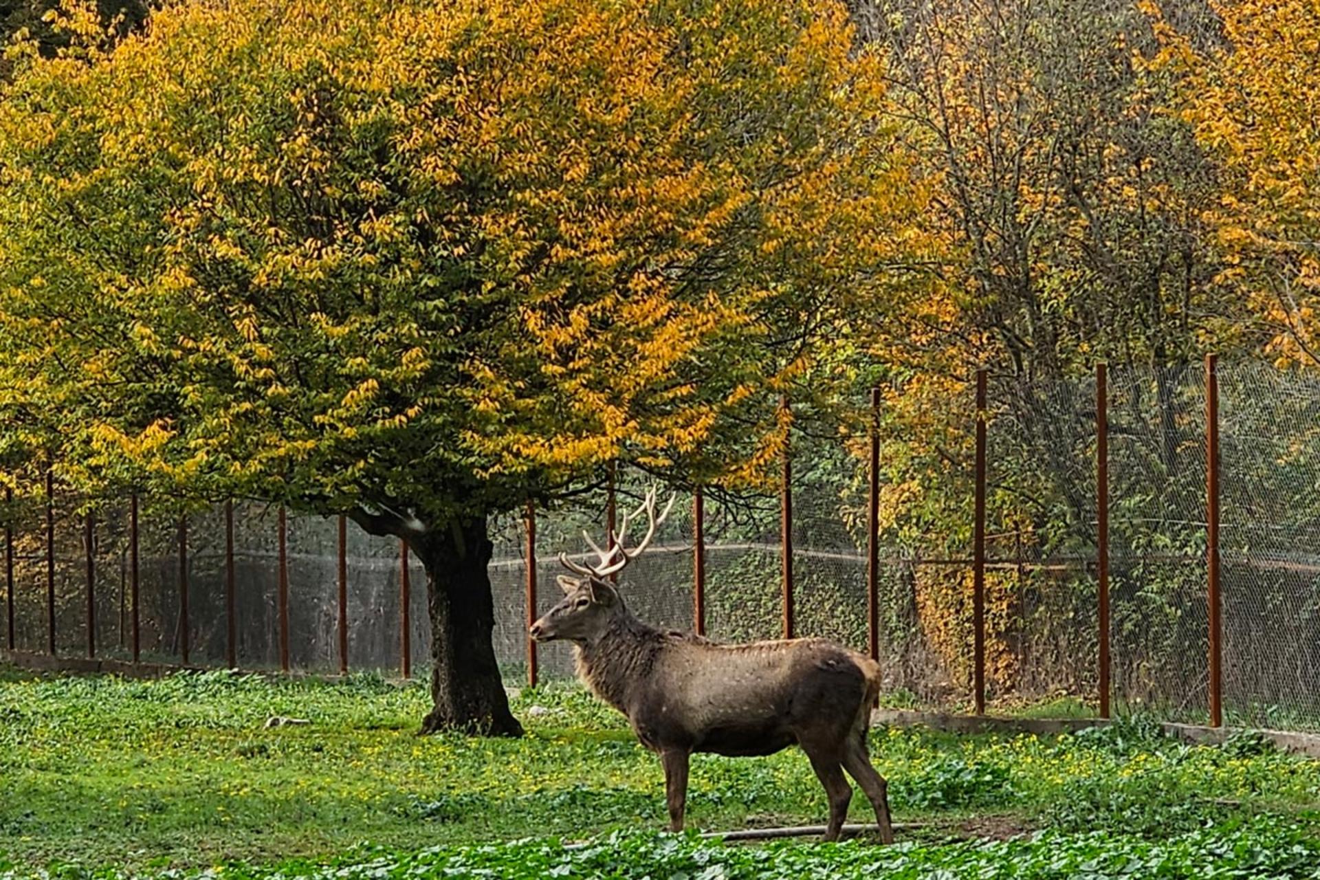 ببینید| جادوی رنگ‌ها در قرق؛ اینجا هنوز زمستان نرسیده