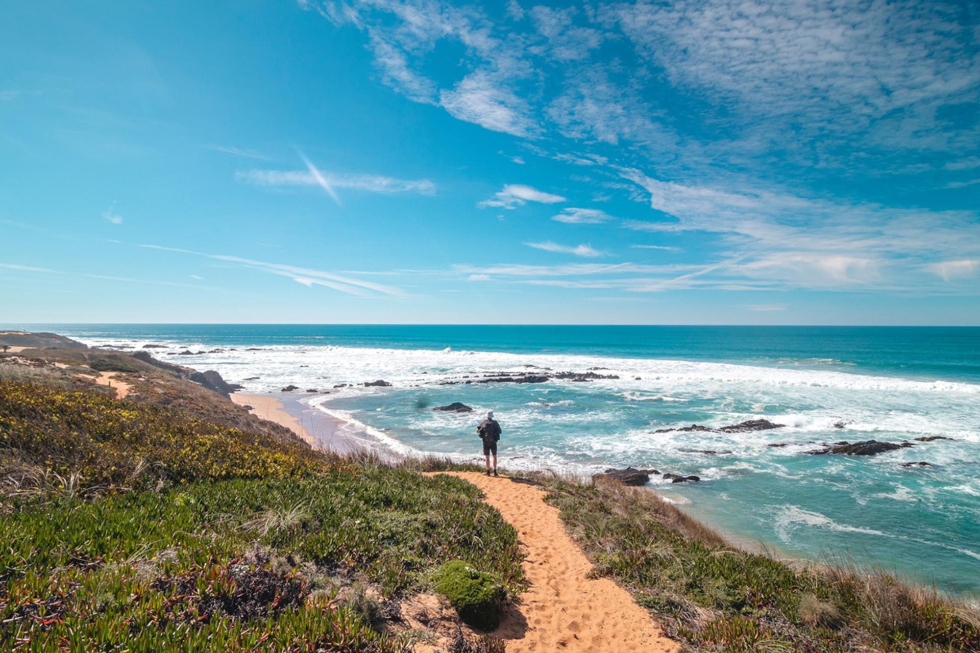 ۱۰ سفر جادویی برای سال ۲۰۲۶: از غواصی با اختاپوس تا جنون فوتبال