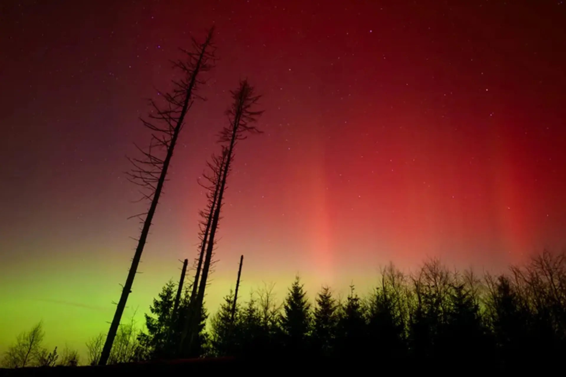 آسمان در آتش نور؛ بهترین تصاویر شفق قطبی شب گذشته