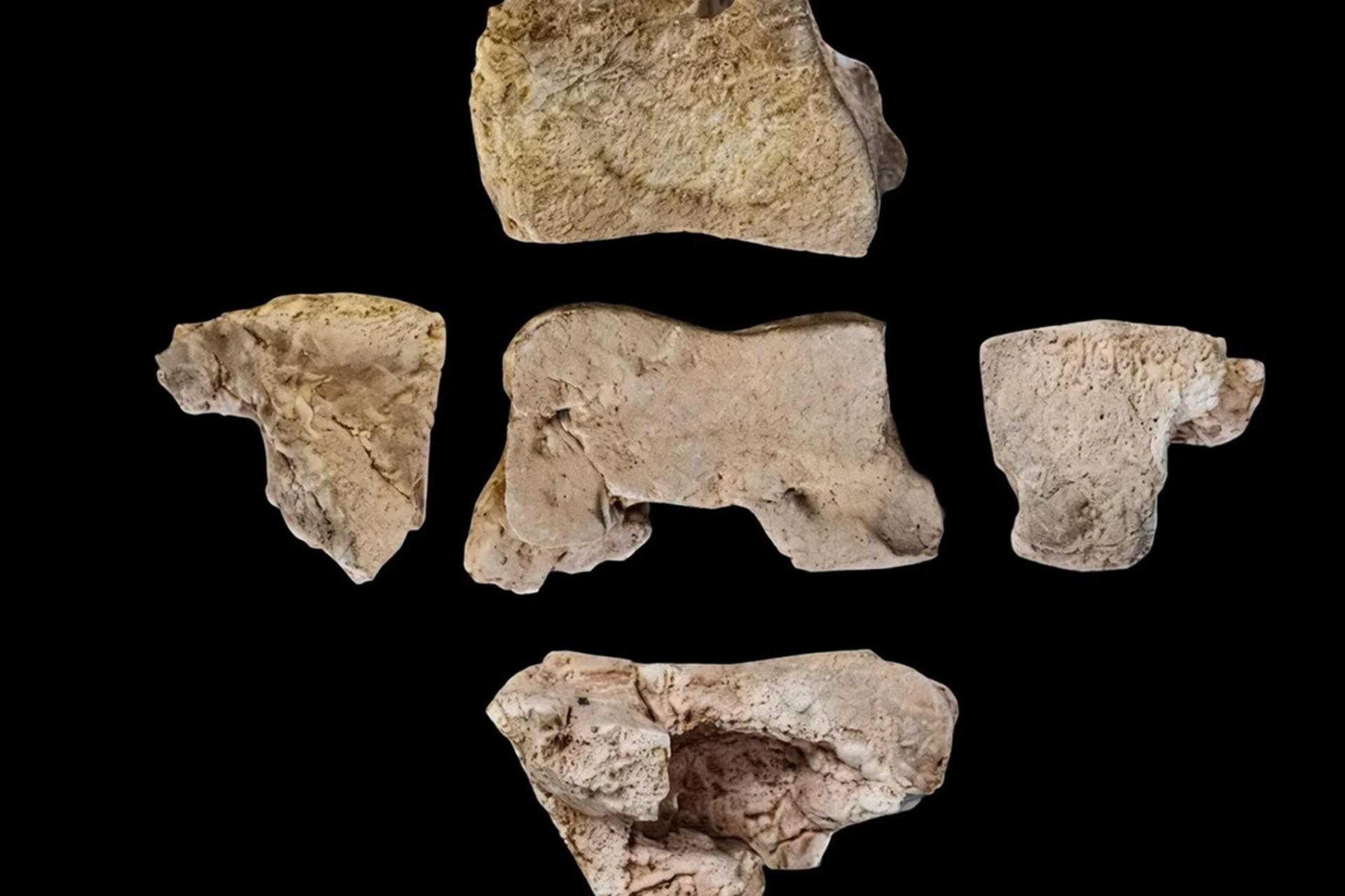 کشف شگفت‌انگیز استخوان یک فیل باستانی در اسپانیا