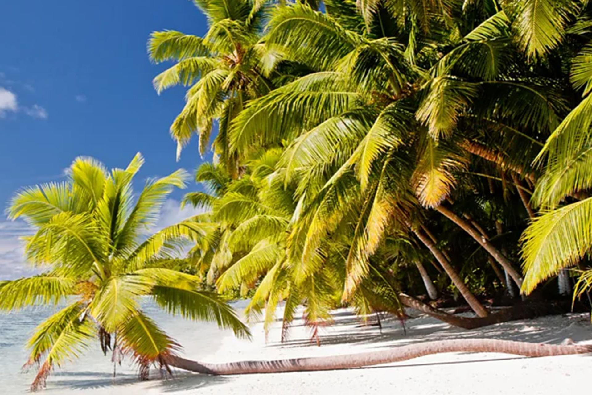 بهشت ممنوعه در اقیانوس هند؛ چالش لندن و واشنگتن دردسر شد!