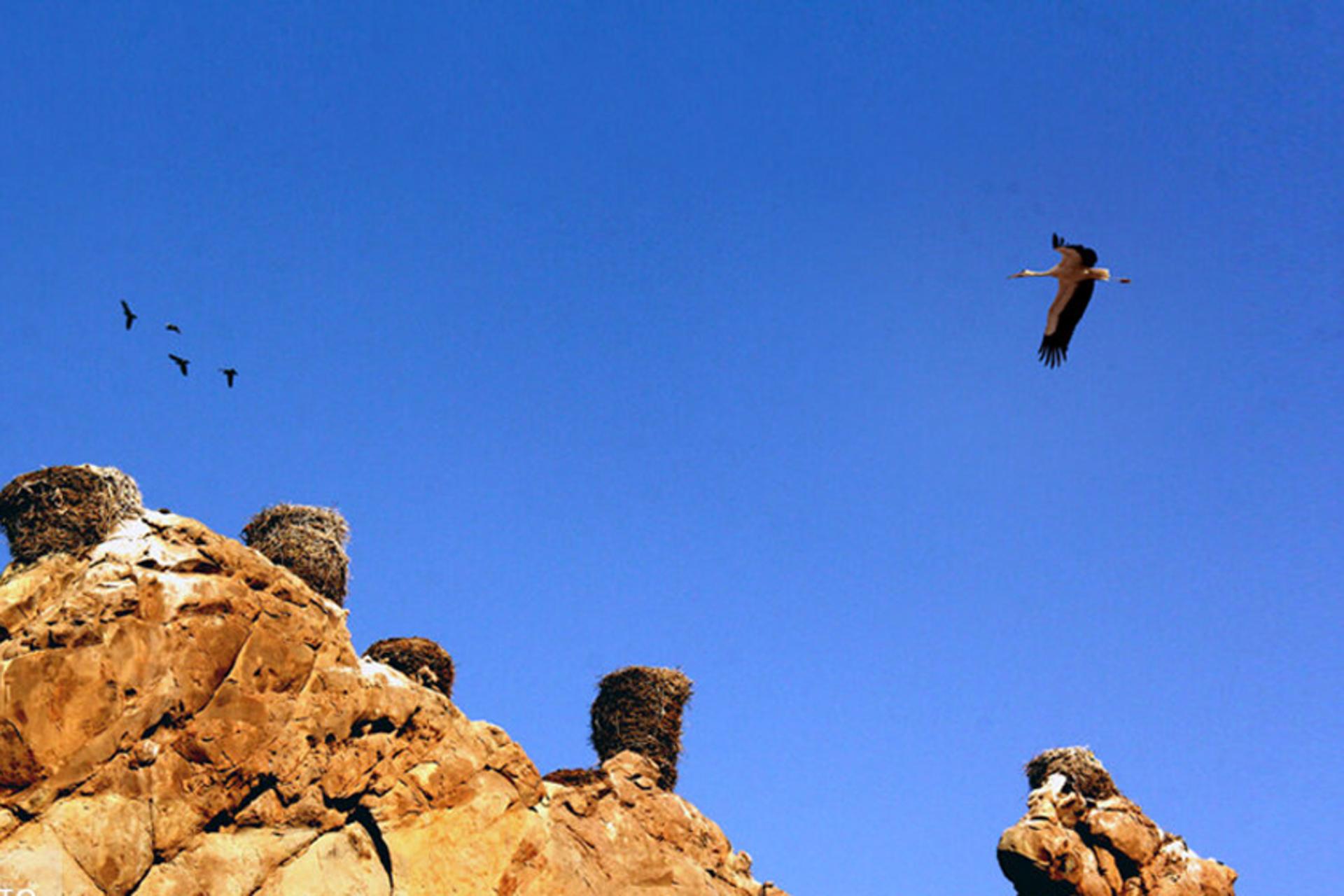 دودکش جنی و قلعه لک‌لک‌ها ثبت ملی شدند