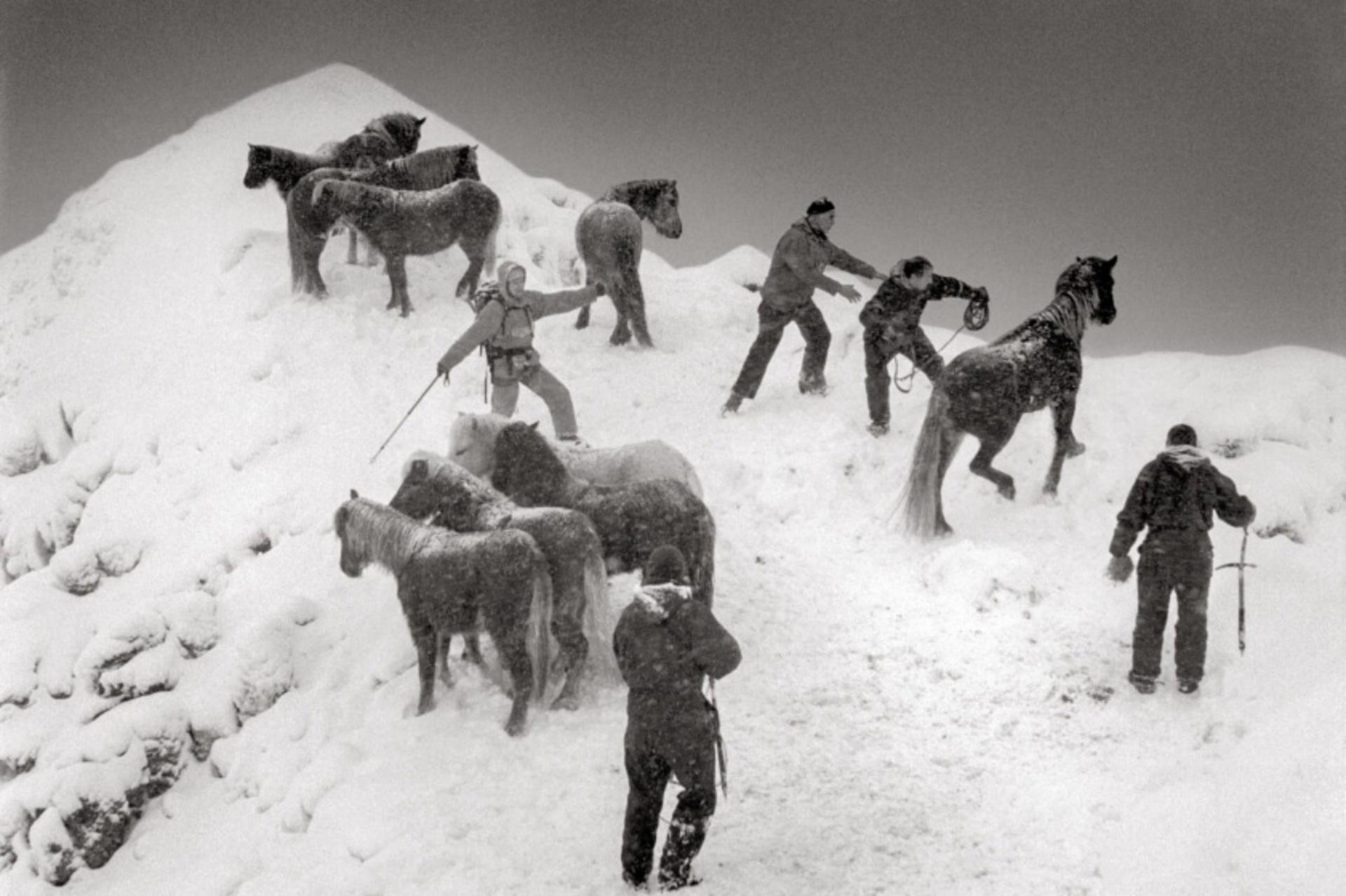 جایی که جهان ذوب می‌شود؛ روایت تصویری از نابودی تدریجی قطب شمال