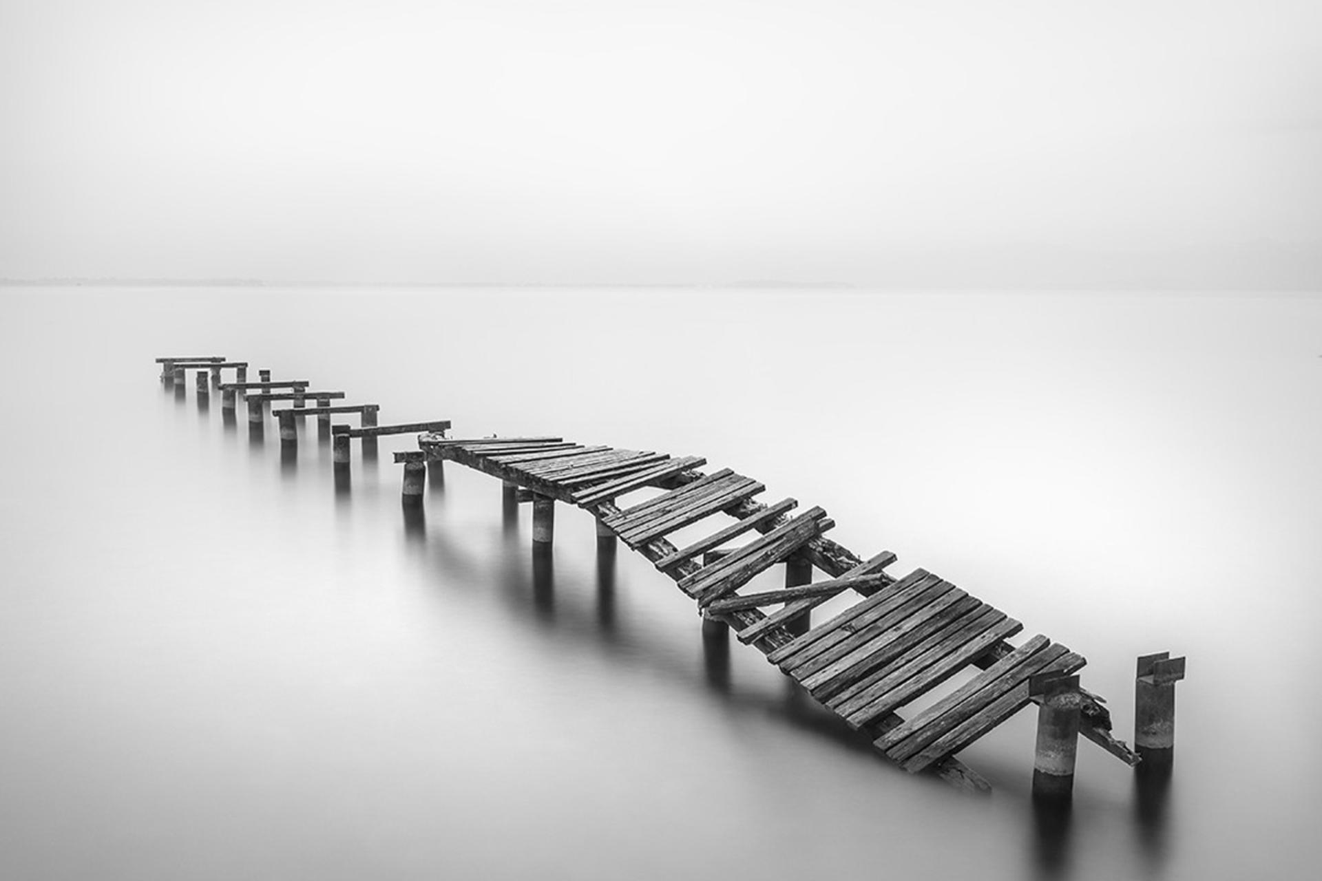 سکوت، سایه، نور؛ روایت شاعرانه طبیعت در قاب‌های سیاه و سفید