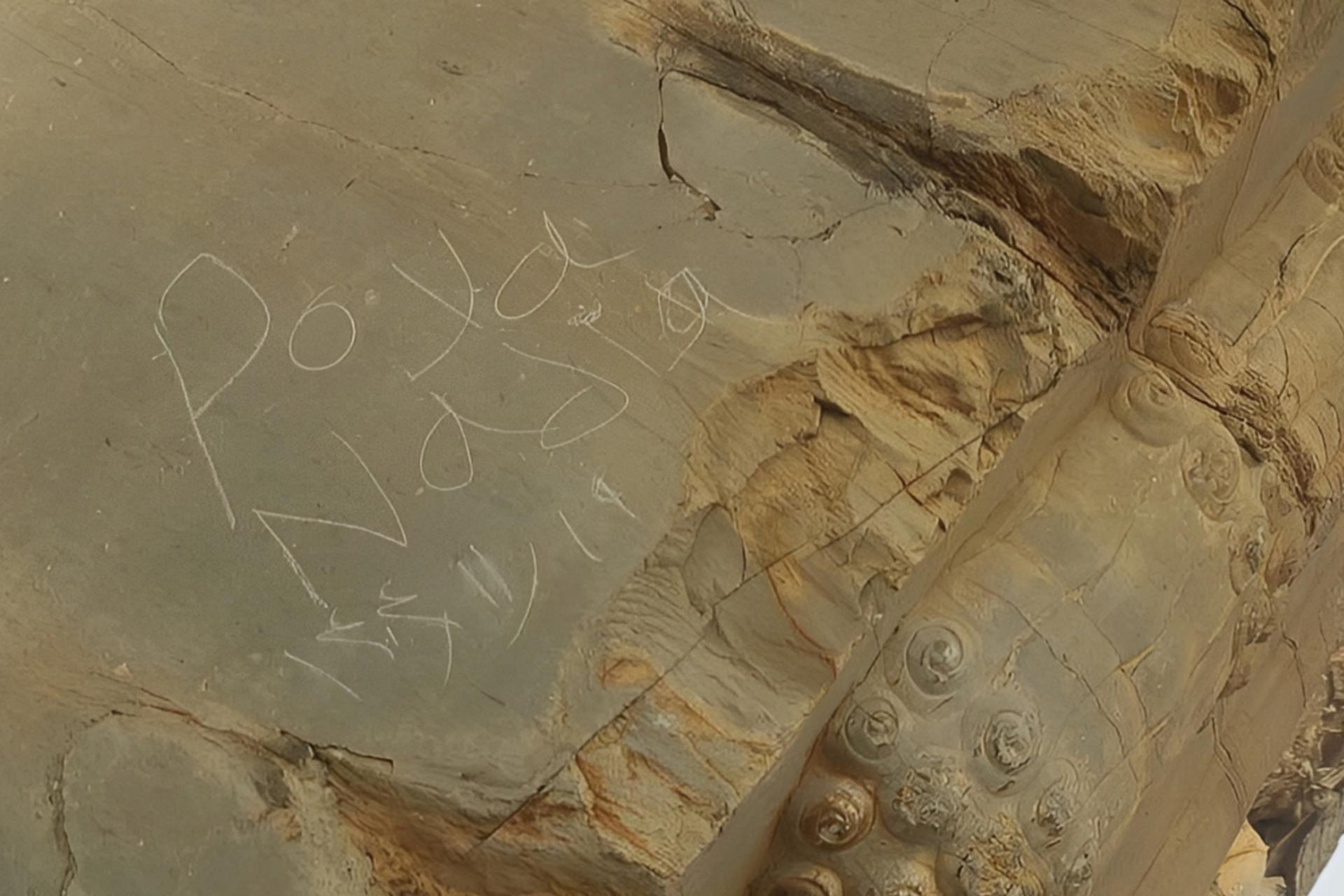 دسته گل پویا و نادیا چطور از تخت جمشید پاک شد؟ (+تصاویر)