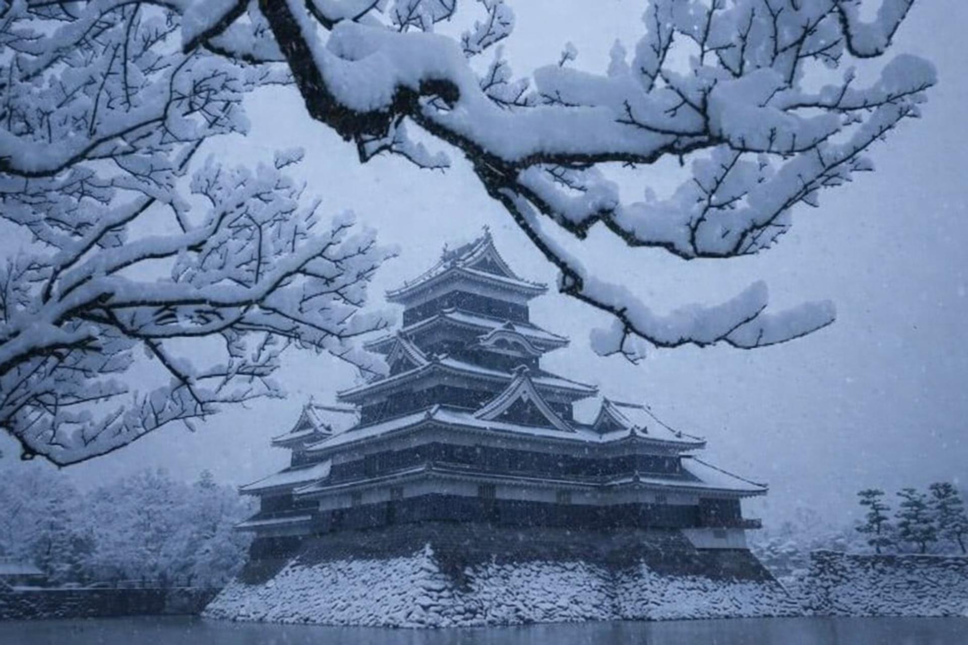 جهان زیر پتوی سفید؛ قاب‌هایی نفس‌گیر از زیبایی زمستان