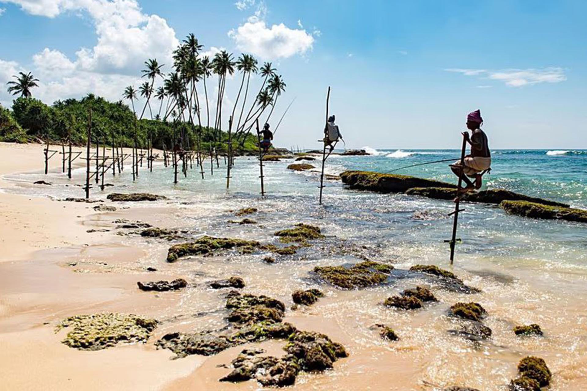 فراخوان سریلانکا برای ویزای نومد؛ کار در میان حیات‌وحش و سواحل فیروزه‌ای