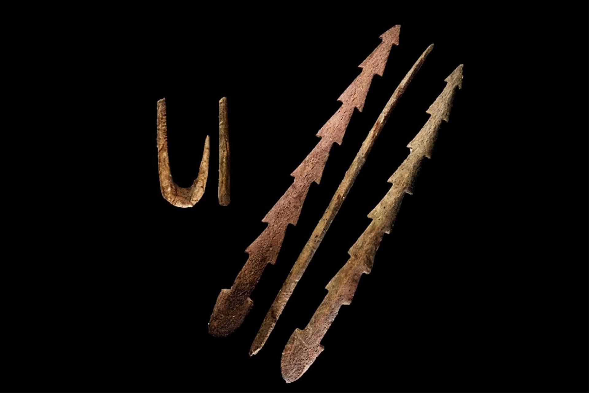 کشف قلاب ۱۰ هزار ساله در سیبری؛ ابتکار شگفت‌انگیز در عصر یخبندان