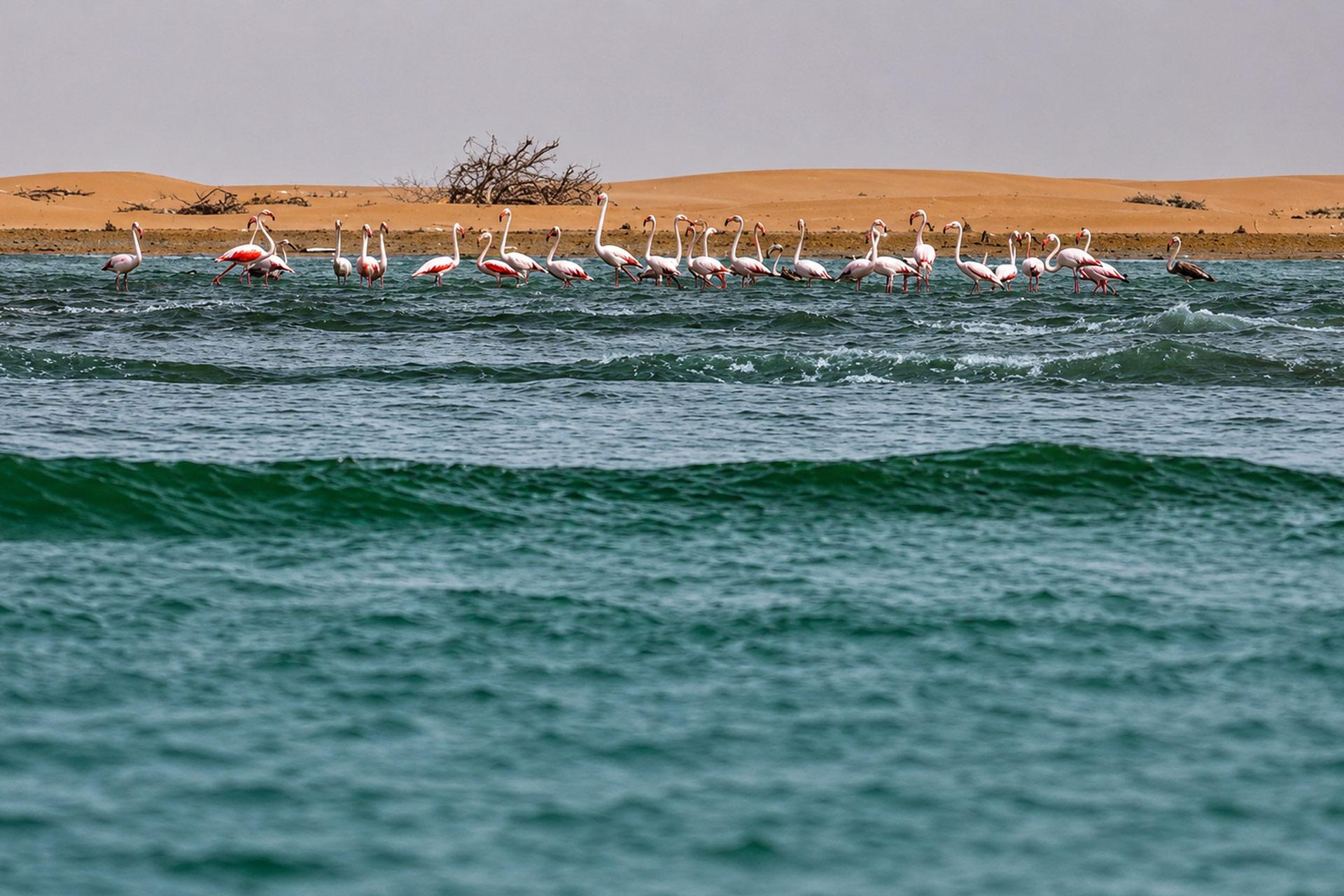 ساحل بندر گواتر