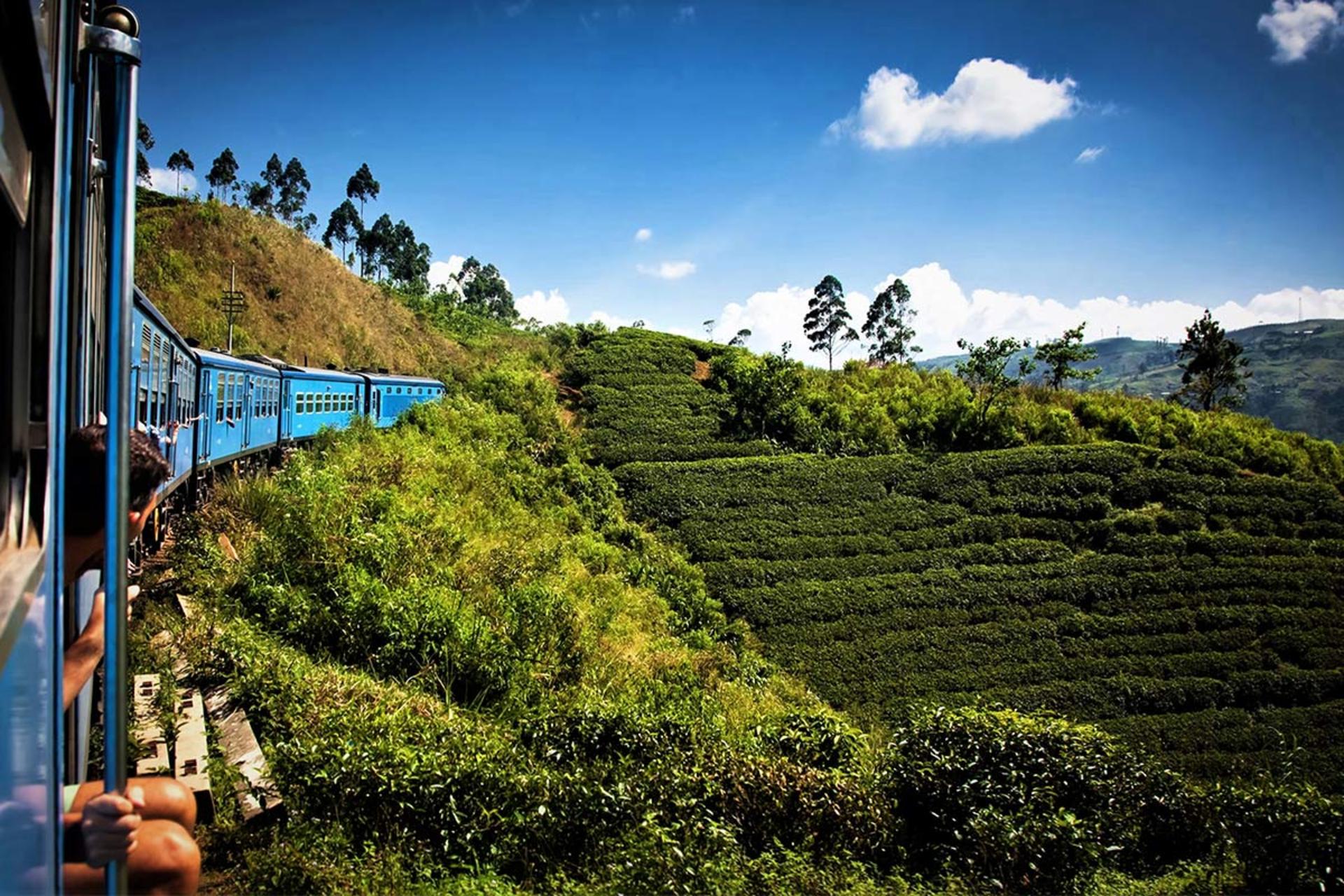 قطارسواری در طبیعت سریلانکا