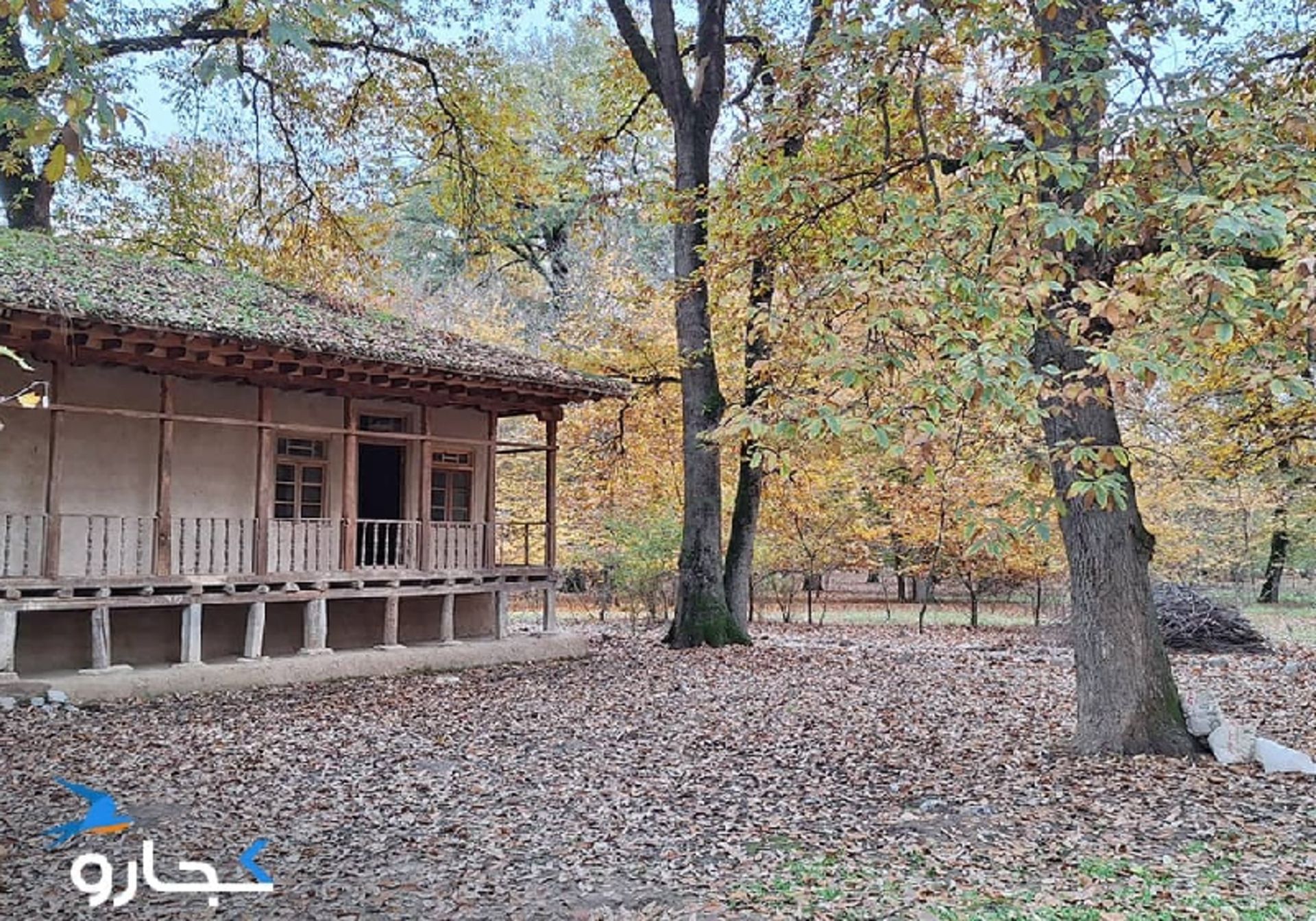 پارک جنگلی قرق