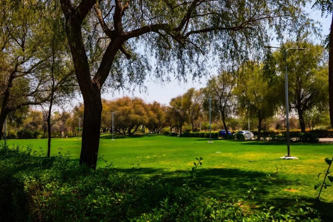 فضای سبز پارک مشرف