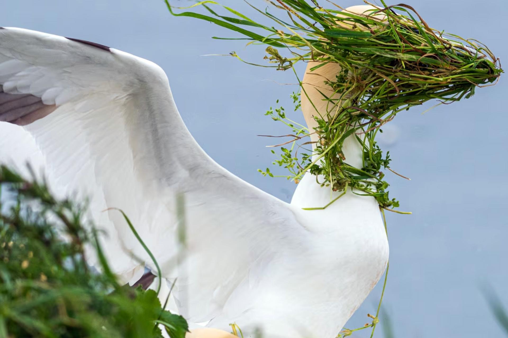 فینالیست‌های عکاسی کمدی طبیعت