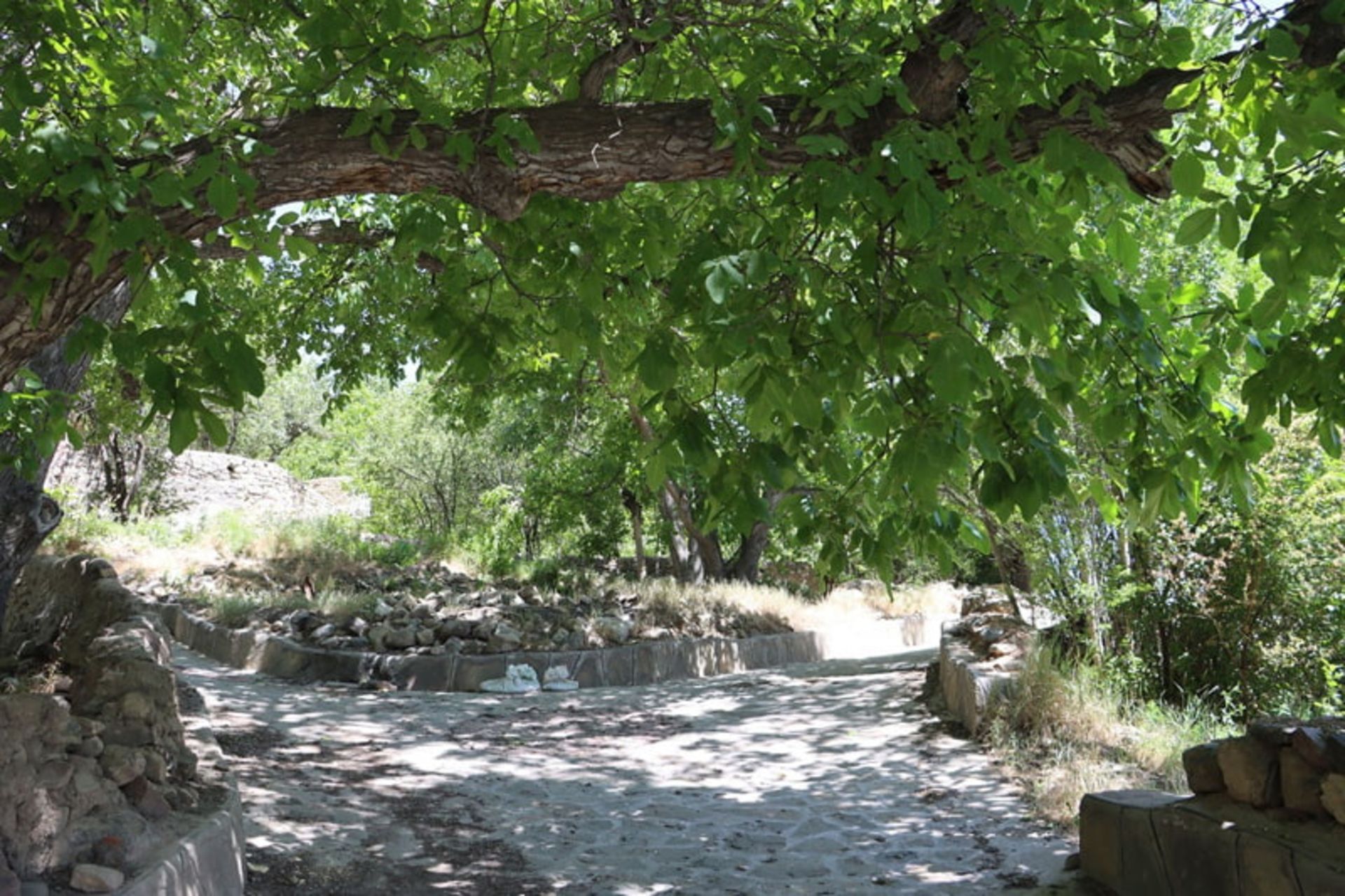 باغی سرسبز در روستای چاشم