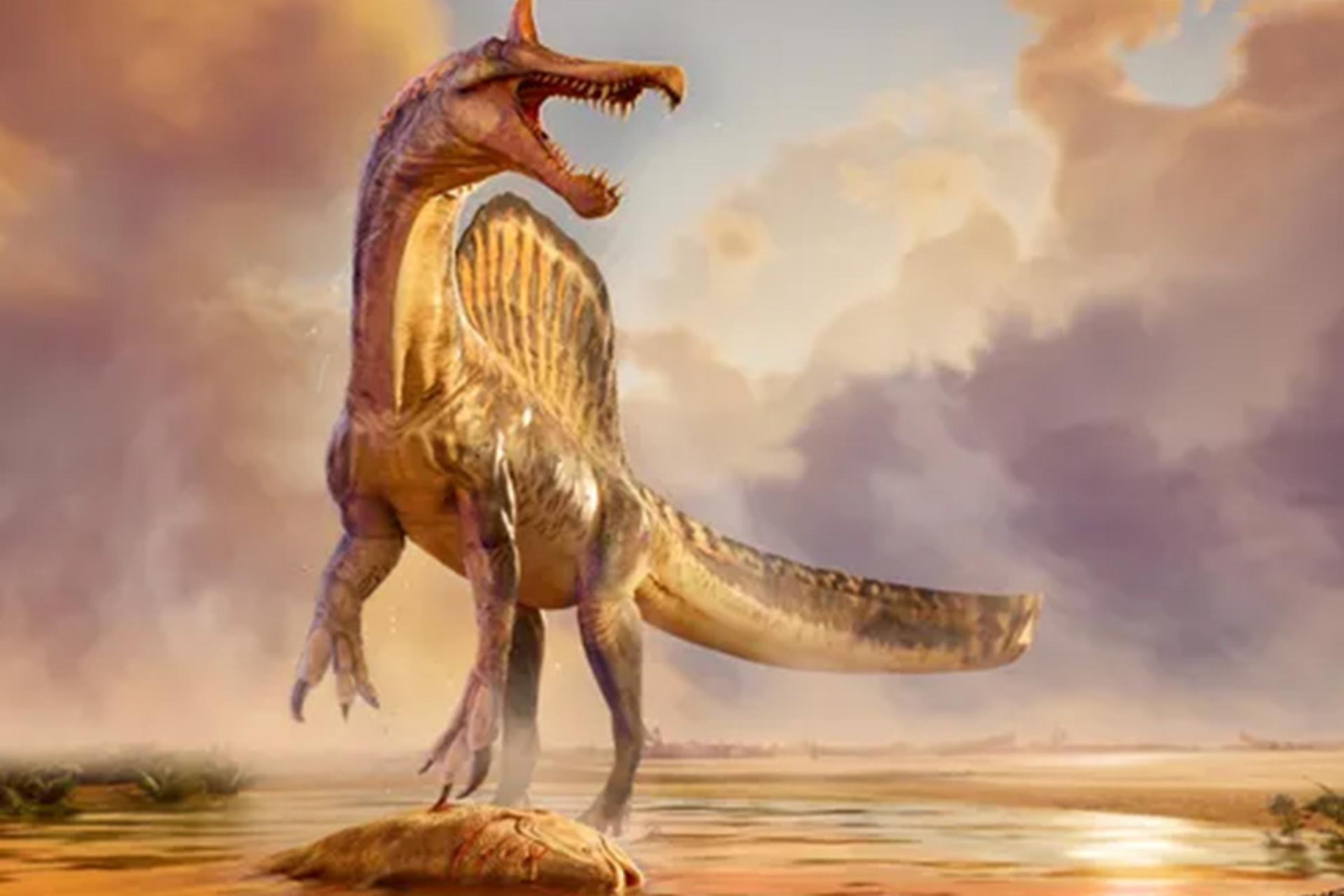 تصویرسازی، گونه‌ای از اسپینوسوروس حدود ۹۵ میلیون سال پیش ایستاده بر فراز شکار در لبه رودخانه