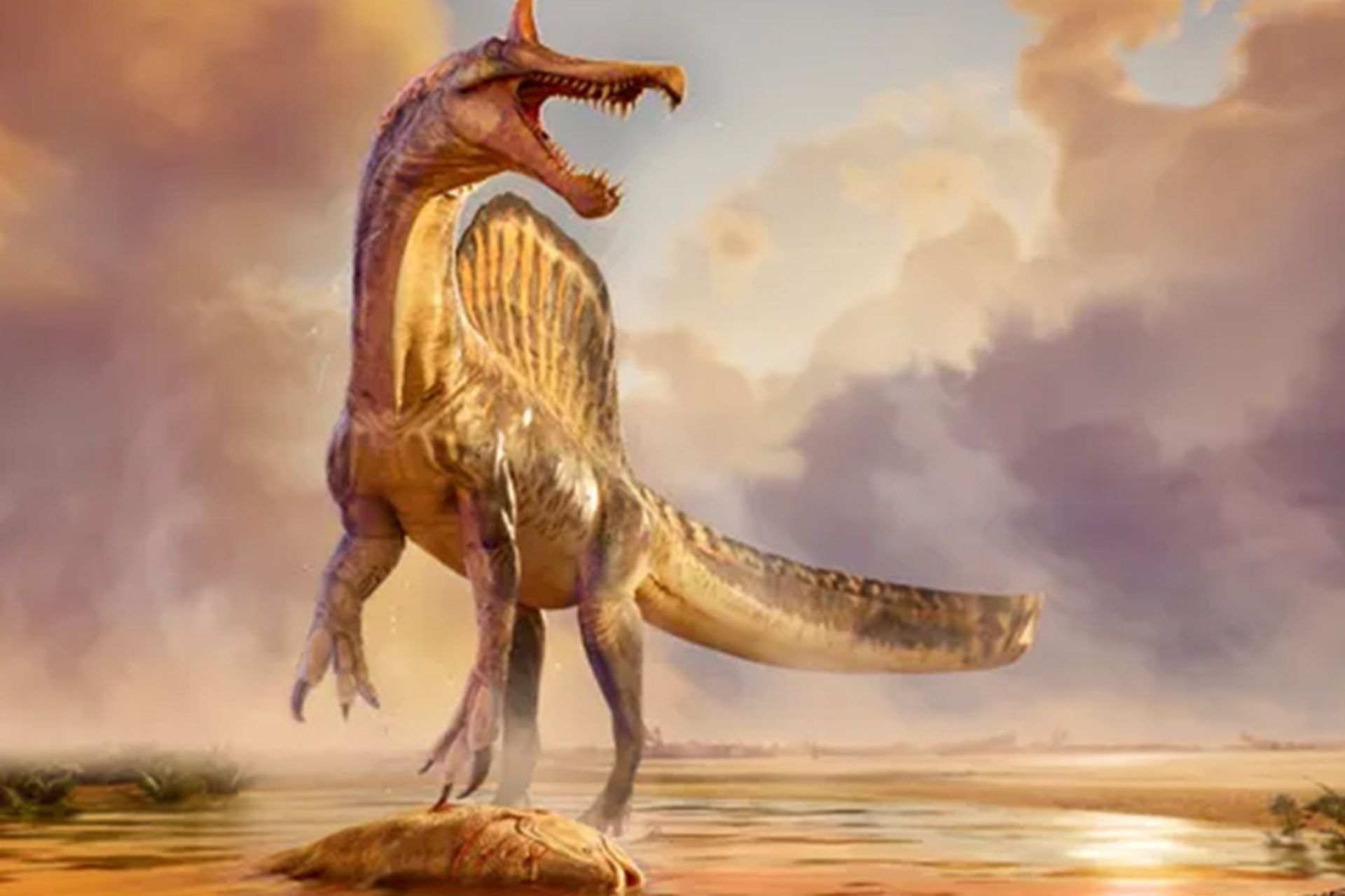 تصویرسازی، گونه‌ای از اسپینوسوروس حدود ۹۵ میلیون سال پیش ایستاده بر فراز شکار در لبه رودخانه