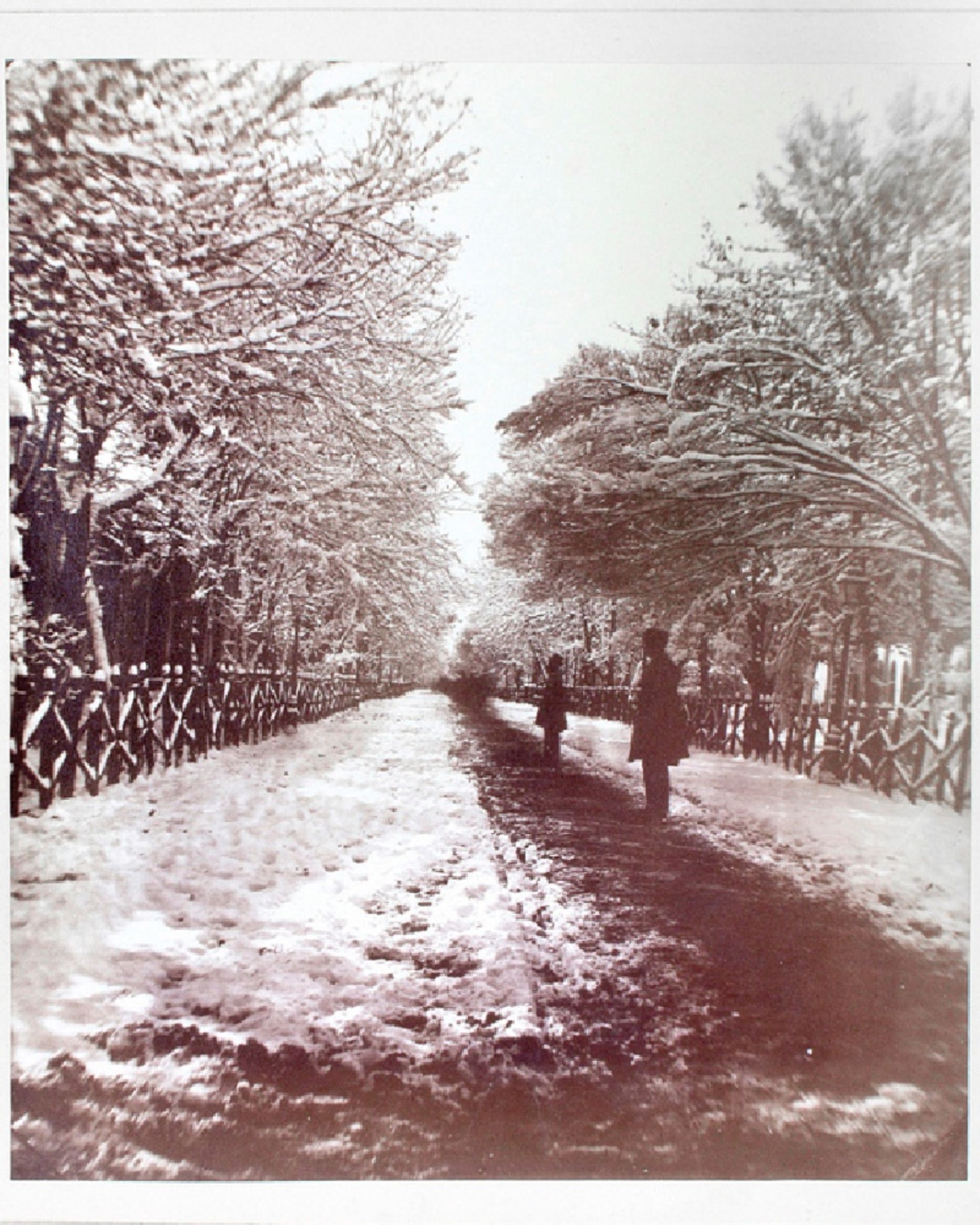 تهران برفی در دوره قاجار