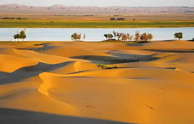 بیابان اولان بوه در کنار آب