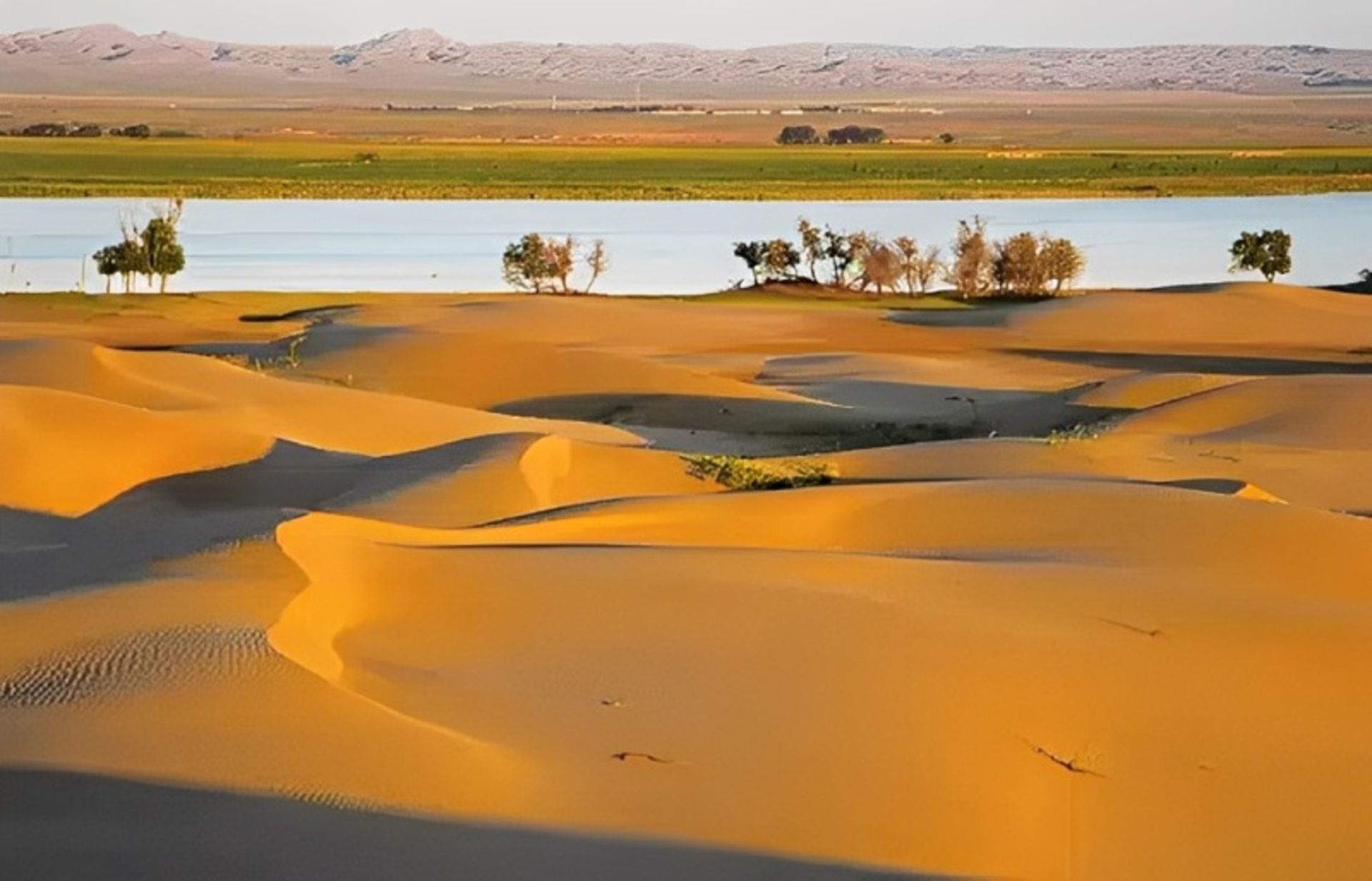 بیابان اولان بوه در کنار آب