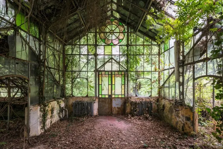 گلخانه متروکه (Abandoned Greenhouse) با پنجره‌های شیشه‌ای و پوشیده از شاخ و برگ گیاهان