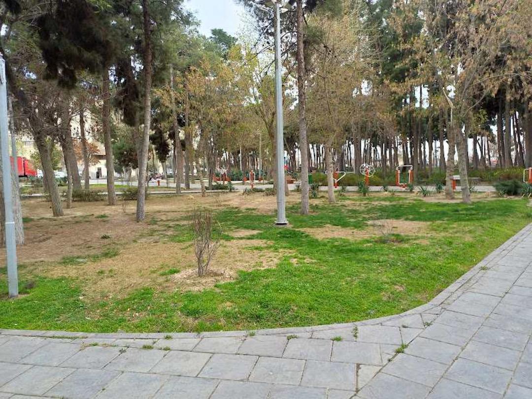 پارک جنگلی دانش
