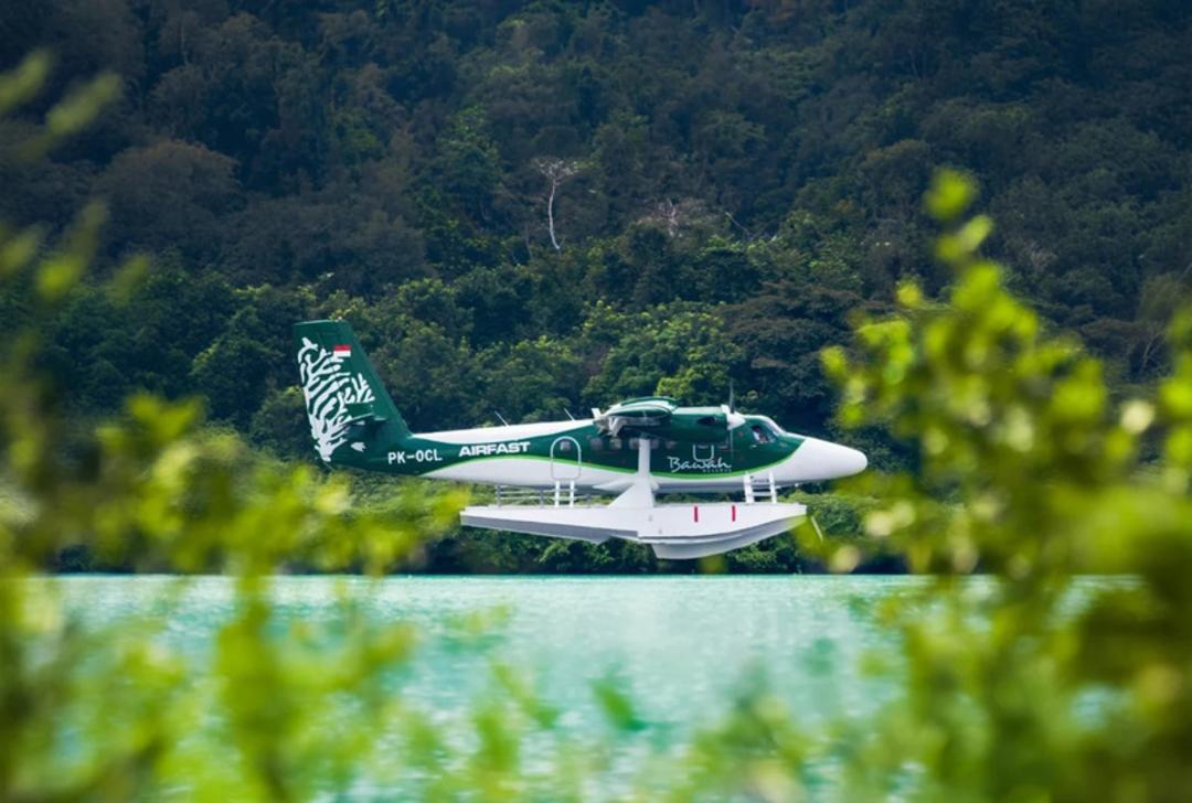 هواپیمای آب‌نشین (Seaplane) با رنگ سبز و سفید در حال حرکت روی آب