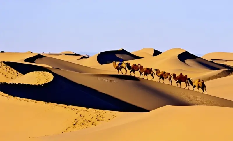 شتر سواری در بیابان قربان‌ تونغوت 