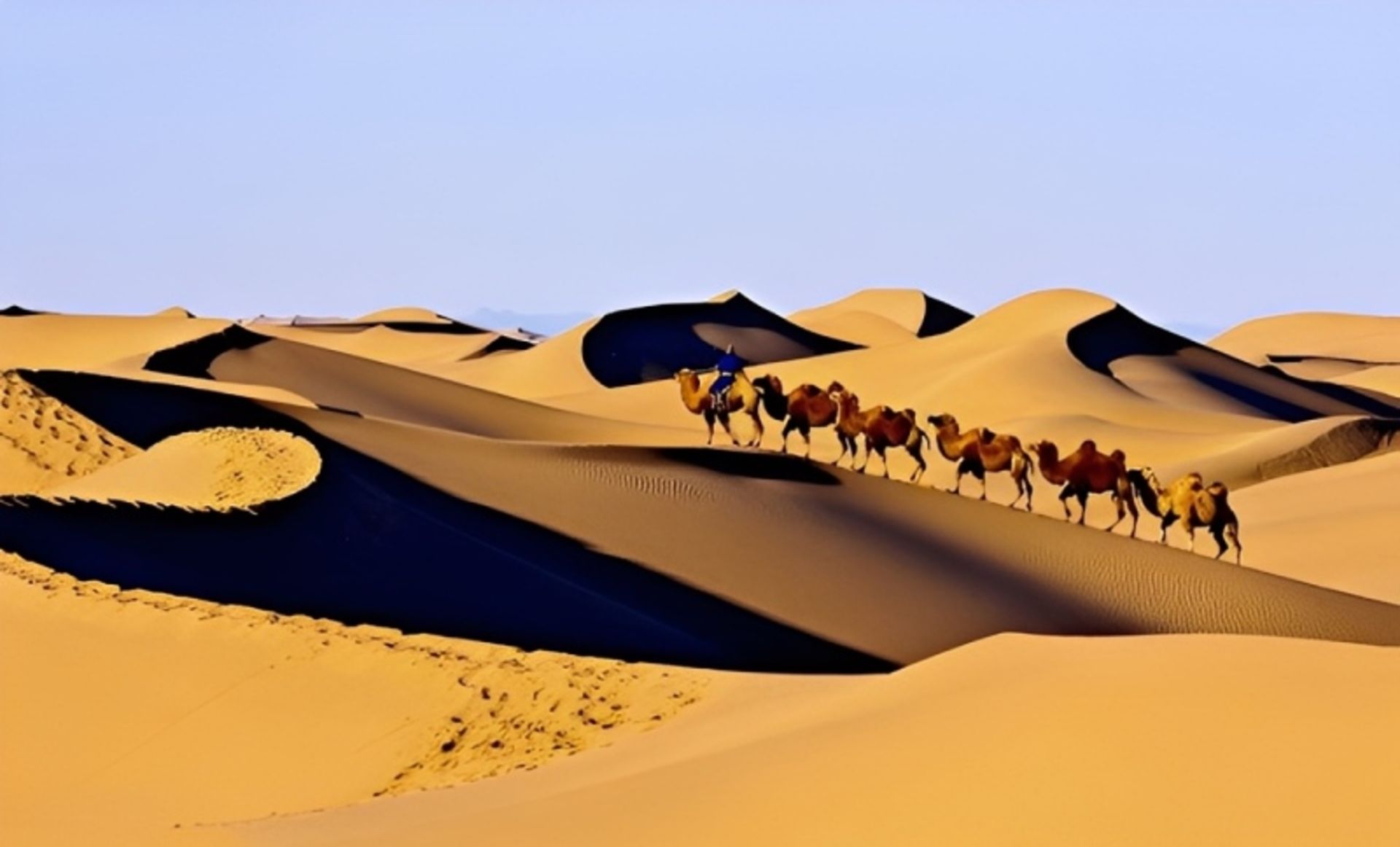 شتر سواری در بیابان قربان‌ تونغوت 