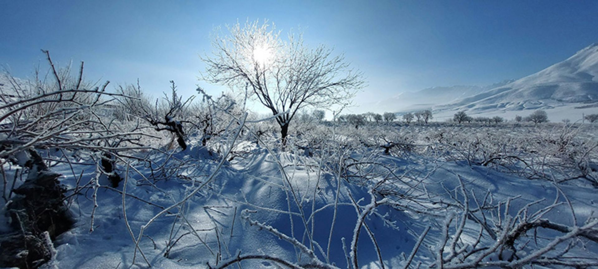 دشت های پوشیده از برف شهرکرد