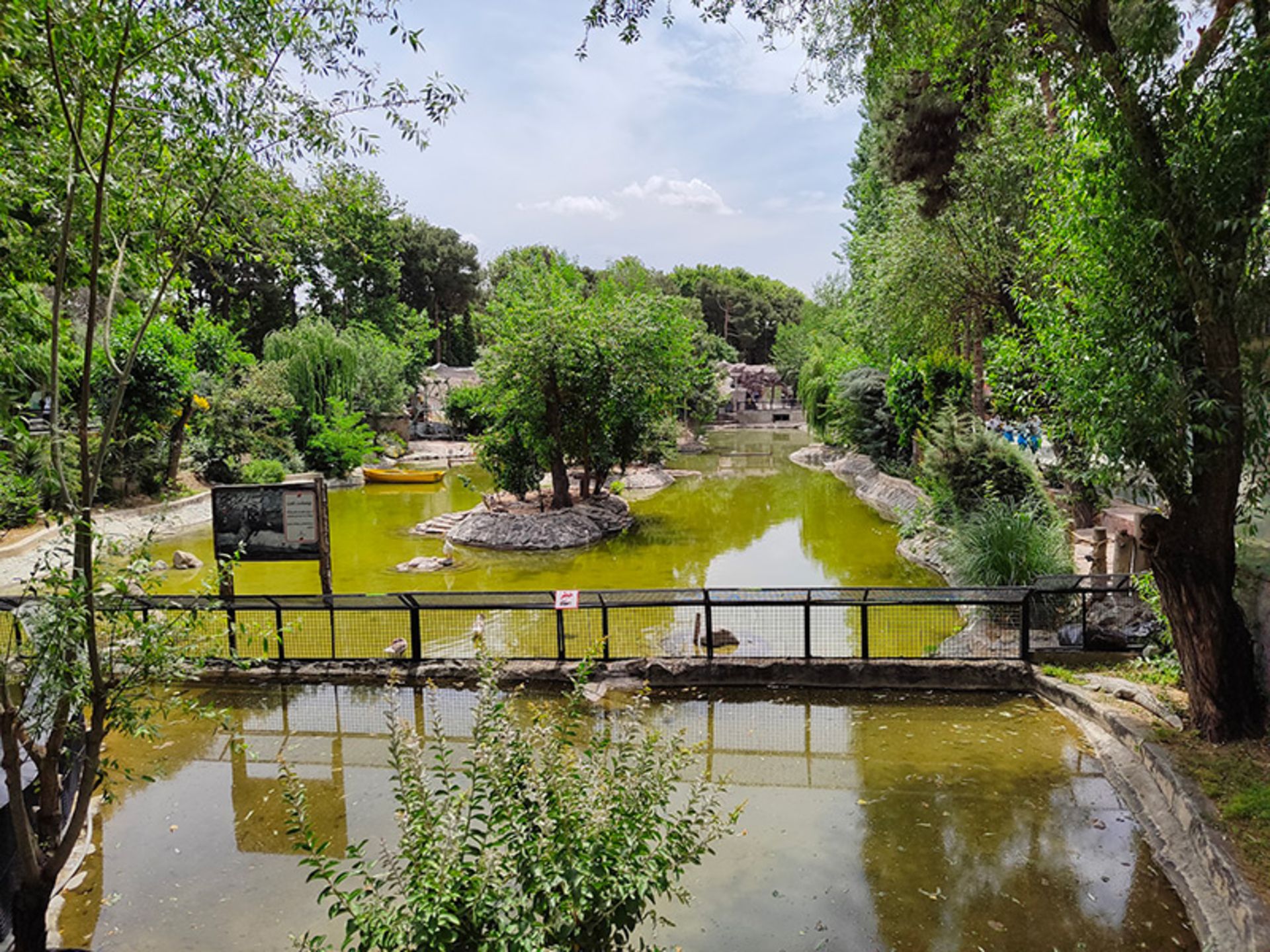 حوضچه آب پرندگان در باغ وحش ارم
