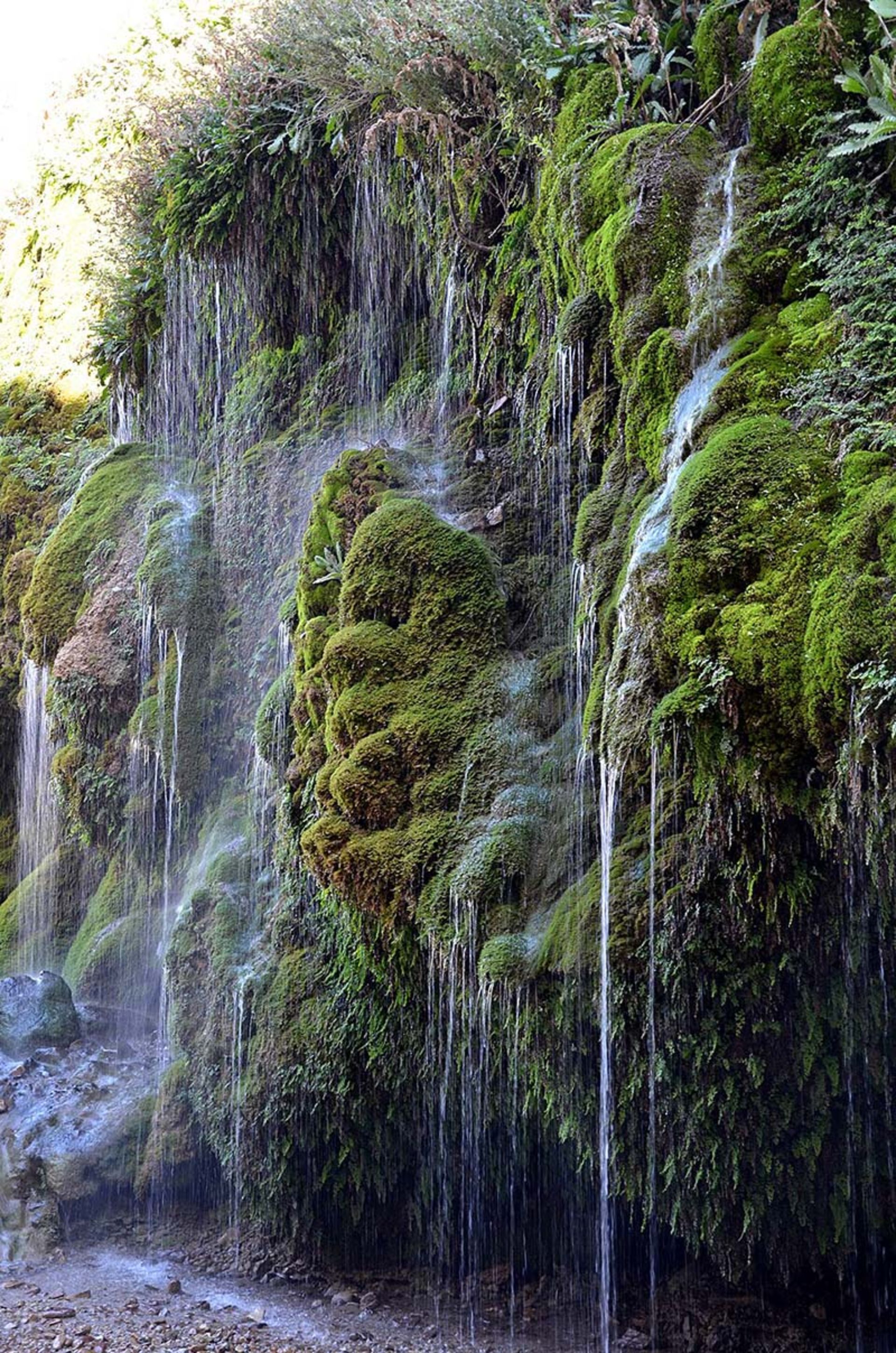 فرود آب از صخره های سرسبز آبشار آسیاب خرابه