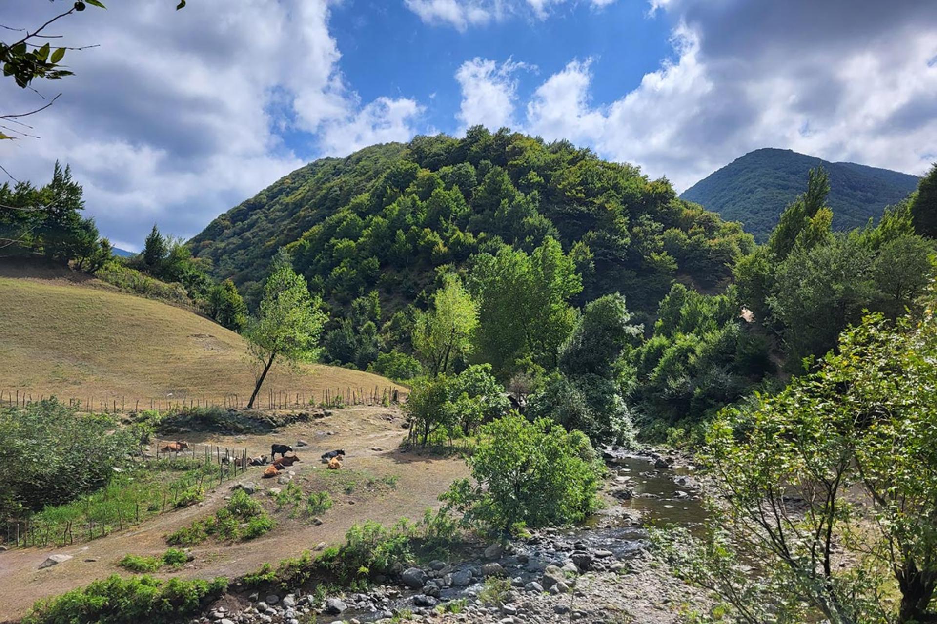 جنگل و رودخانه حاشیه روستای گیلده