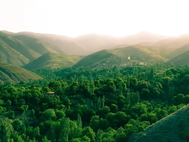طبیعت سرسبز روستای مغان