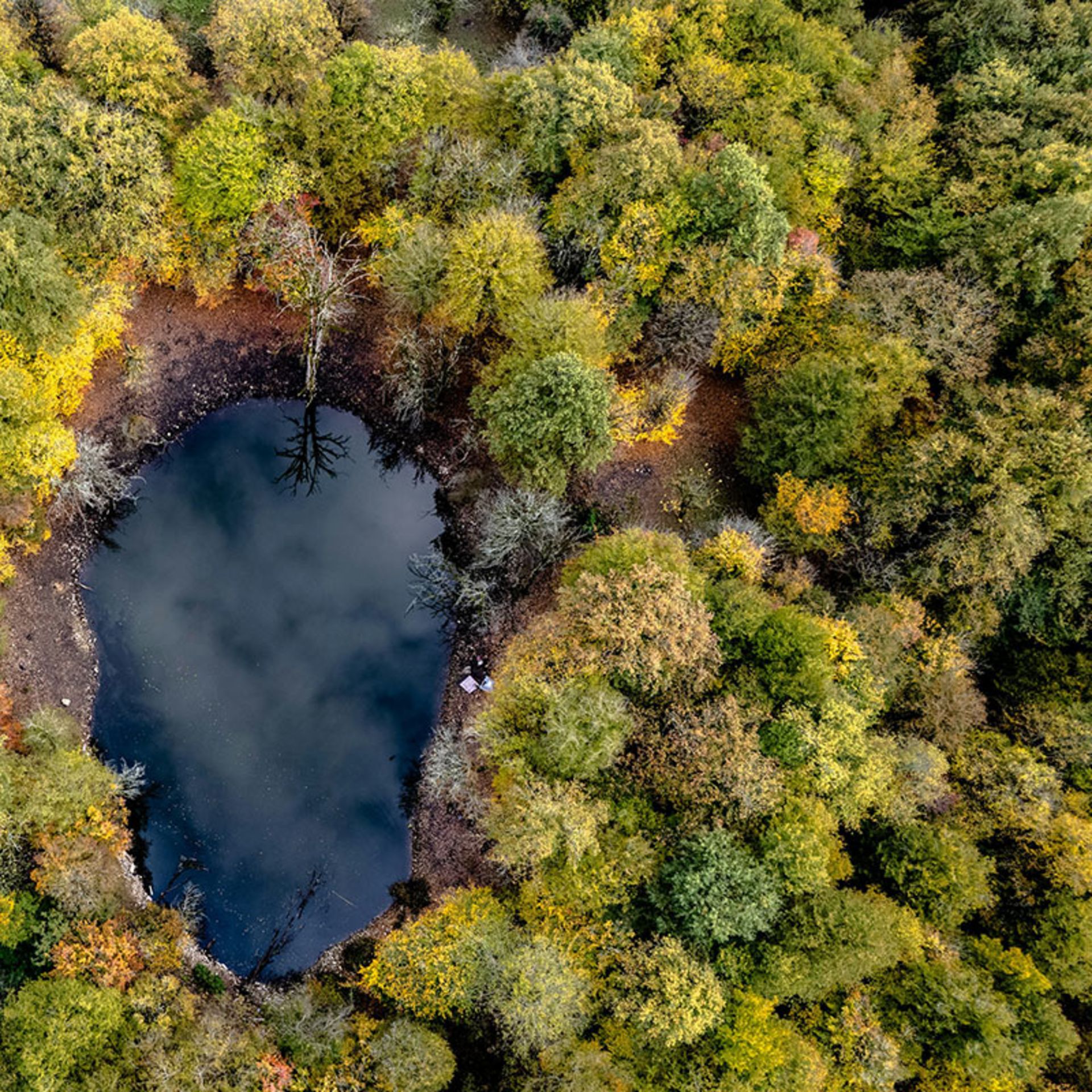 تصویر هوایی از منظره پاییزی اطراف مرداب چالوس