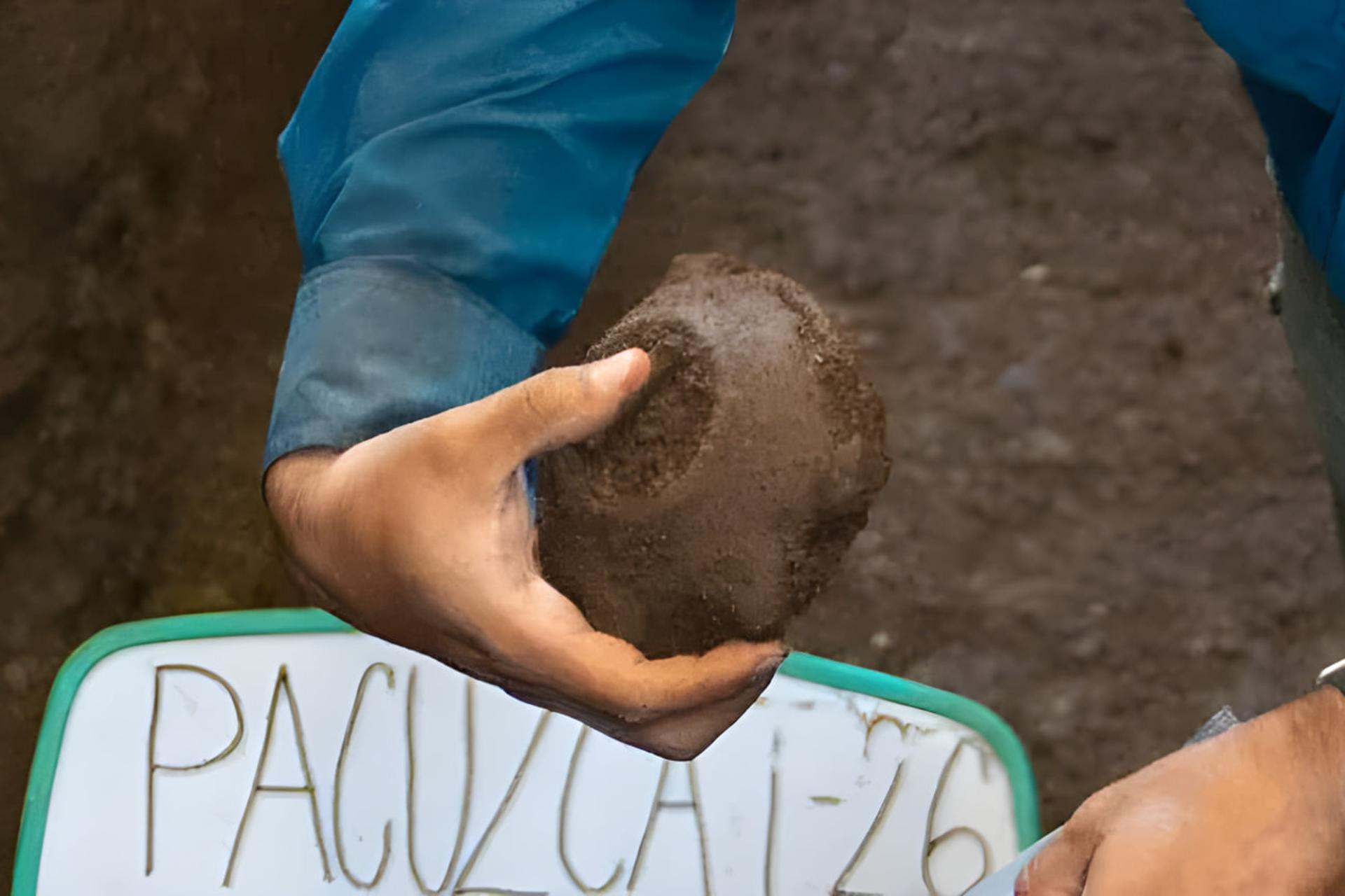 دست‌های یک فرد در حال نگه داشتن یک قطعه سفال یا باستانی قهوه‌ای رنگ در کنار یک تابلوی شناسایی