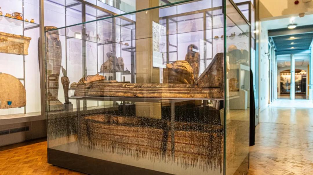 مومیایی باستانی (Ancient Mummy) درون ویترین شیشه‌ای در موزه منچستر