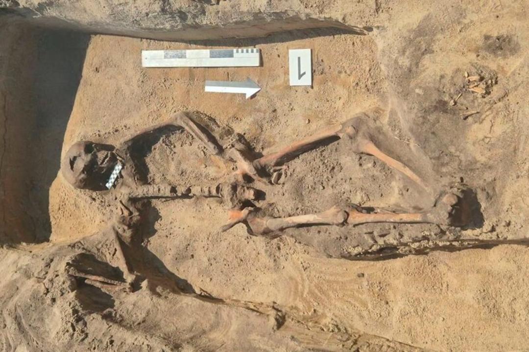 اسکلت انسان باستانی در محل حفاری‌های باستان‌شناسی در خاک