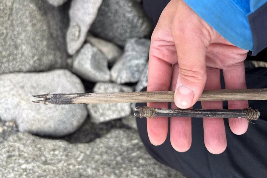 سرپیکان چوبی باستانی (Ancient Arrowhead) کشف شده در یخ‌های ذوب شده نروژ