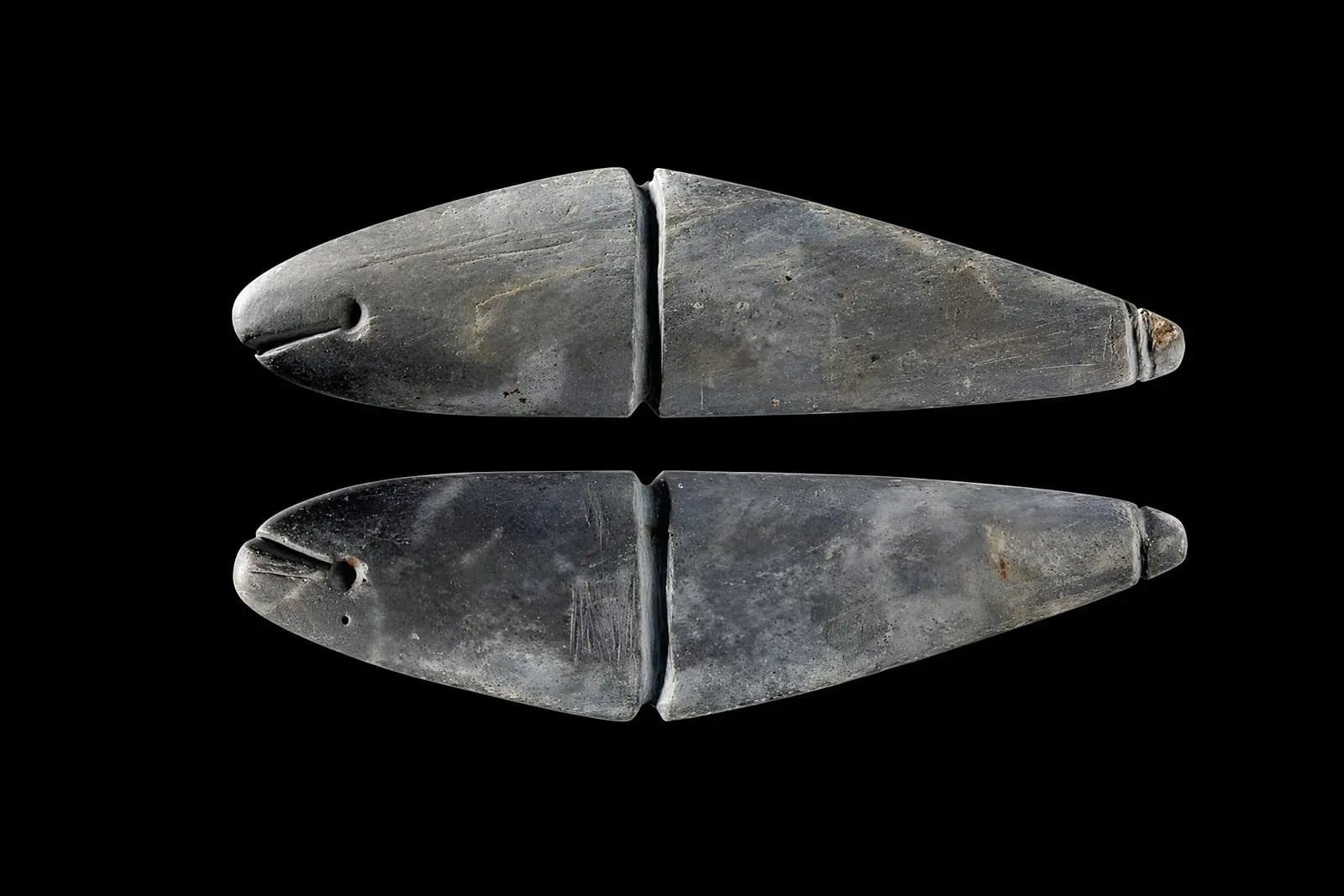 ماهی سنگی (Stone Fish) باستانی متعلق به دوران پیش از تاریخ در سیبری