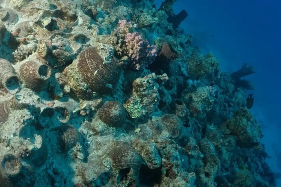 ظرف‌های سفالی قدیمی در بستر دریای سرخ (Red Sea) زیر آب