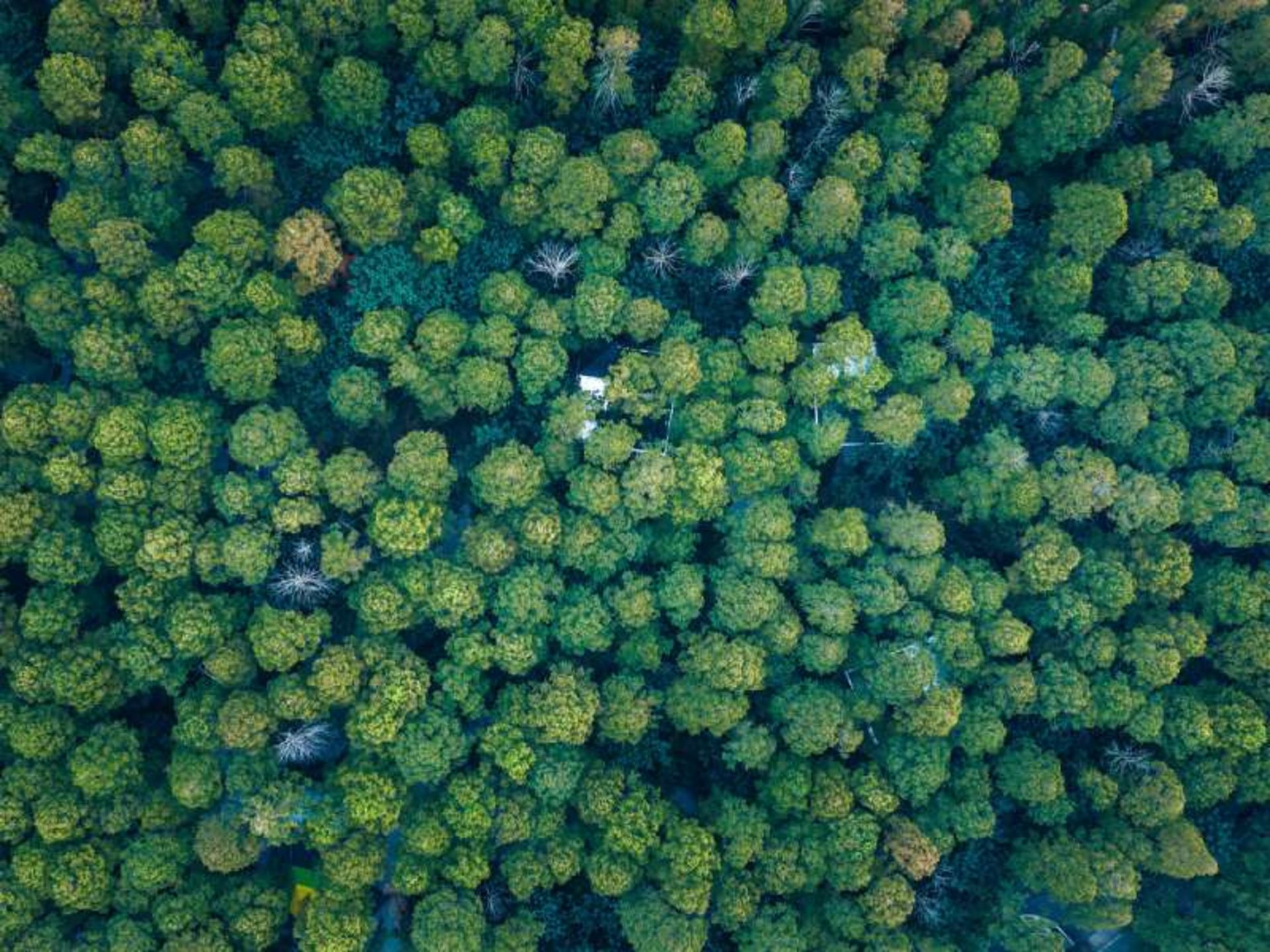 تصویر هوایی از اقامتگاه کمپ مخفی چین