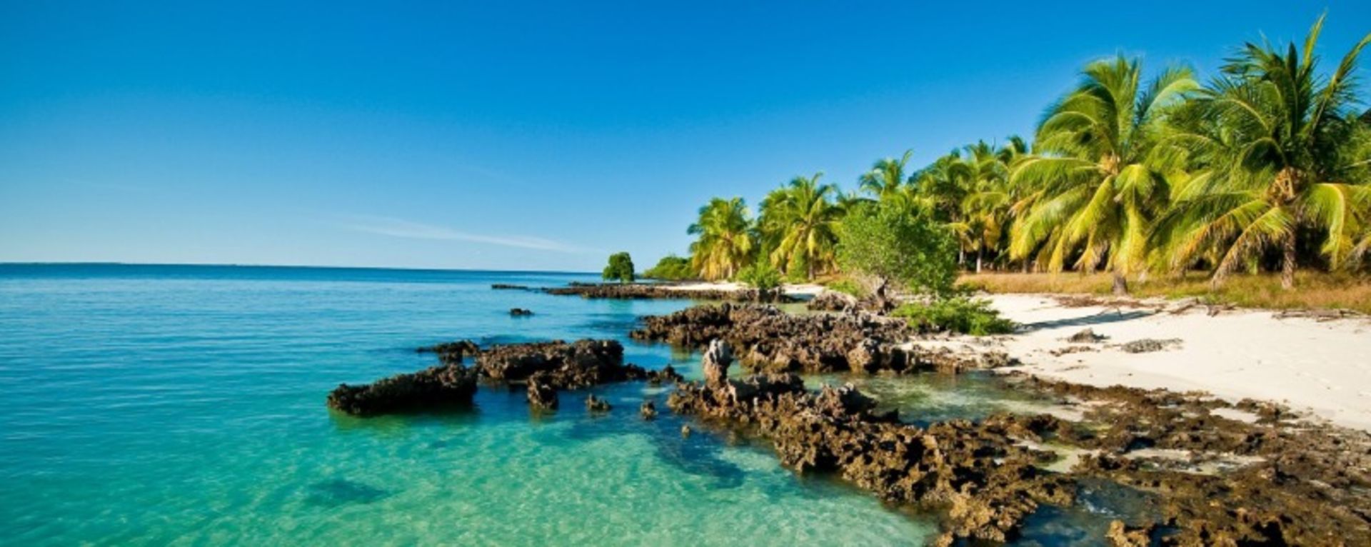 ساحل کشور موزامبیک و طبیعت سرسبز اطراف آن