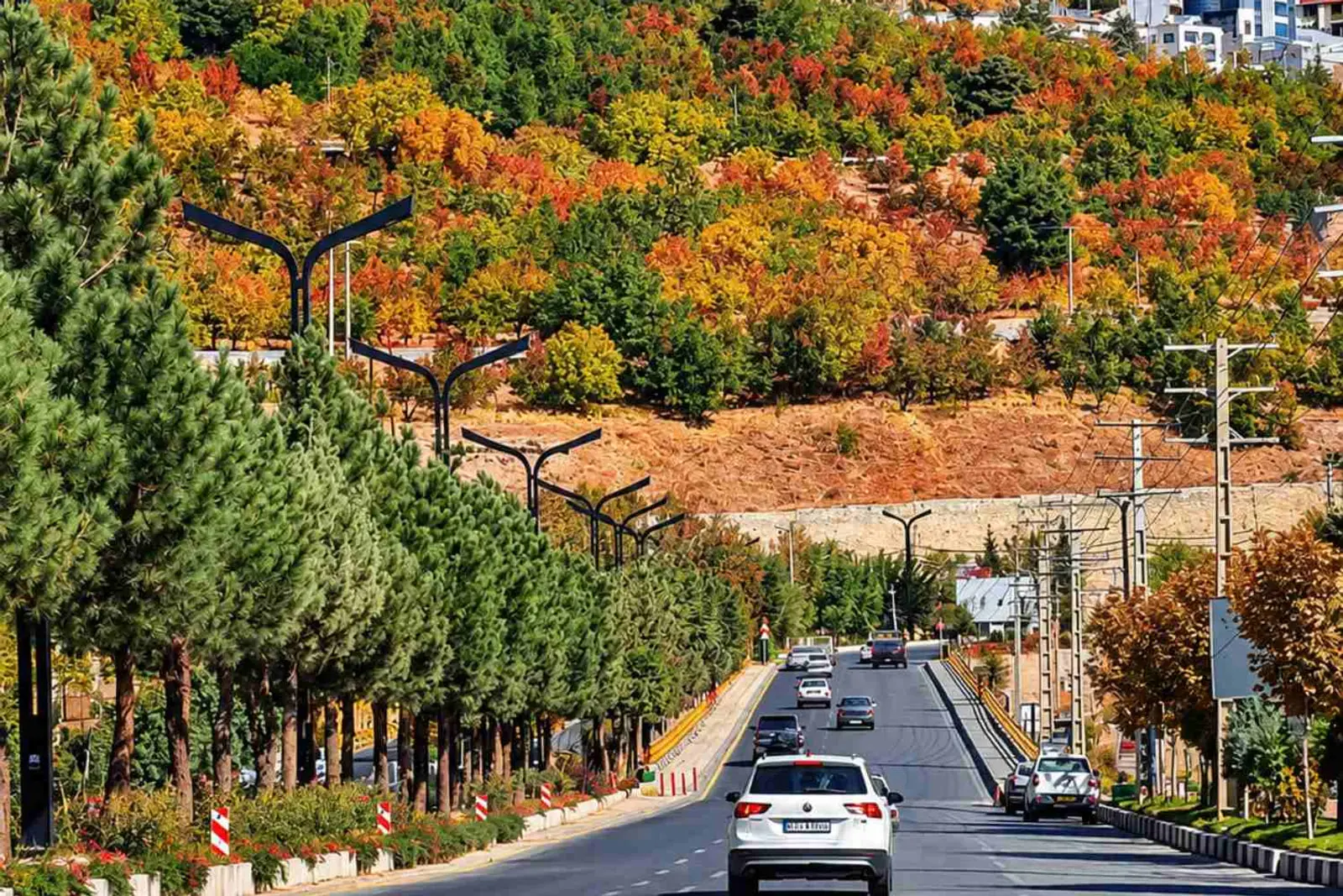 جاده‌ای با خودروهای در حال حرکت در میان درختان رنگارنگ پاییزی