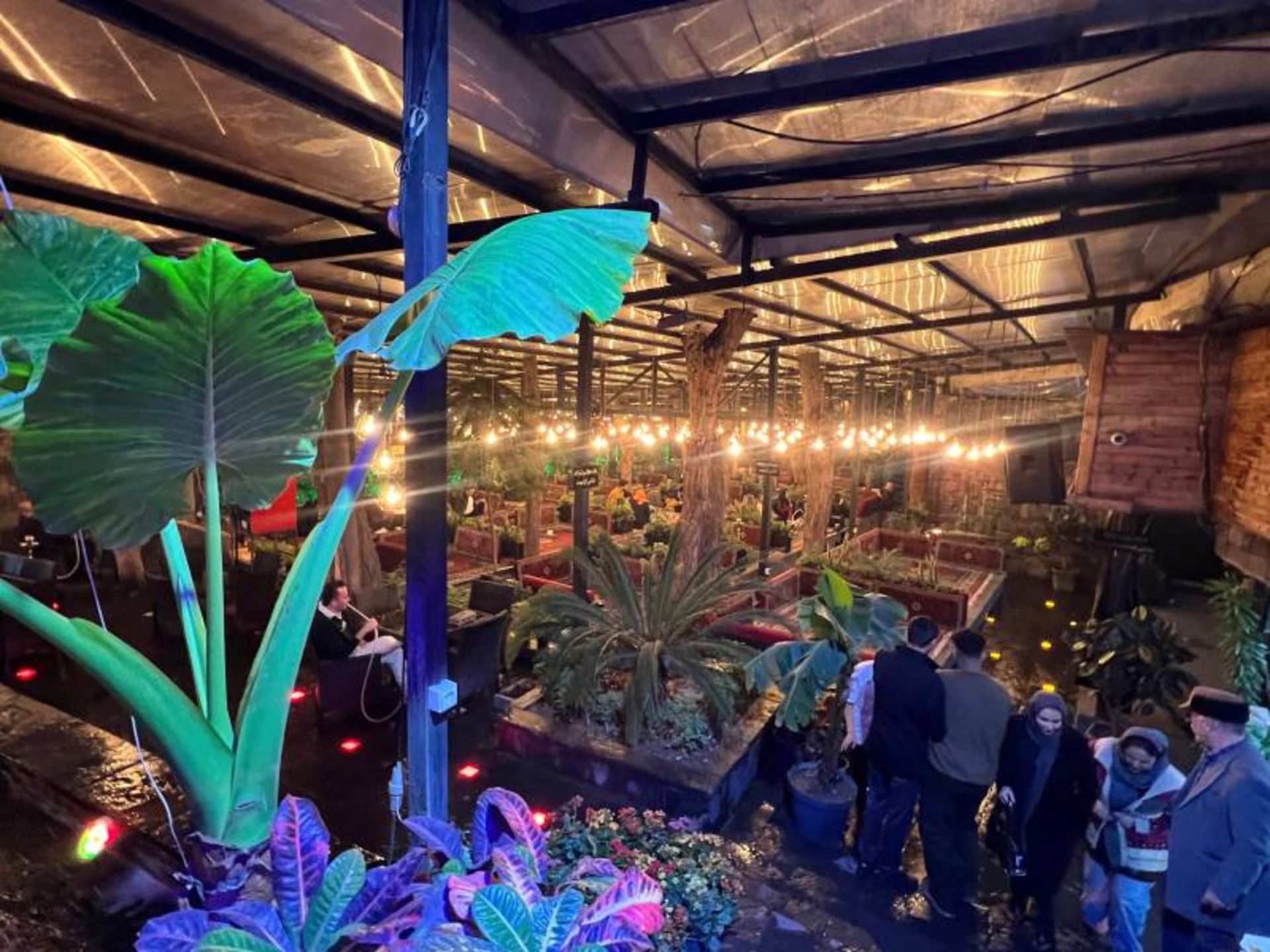 فضای باز باغچه رستوران شکوفه فرحزاد