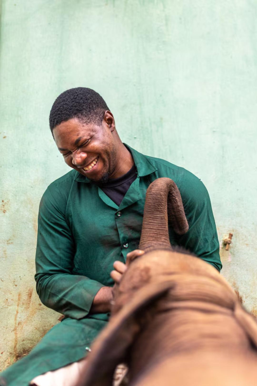 مراقبت مرد نیجریه‌ای (Nigerian) از بچه فیل در پناهگاه جنگل