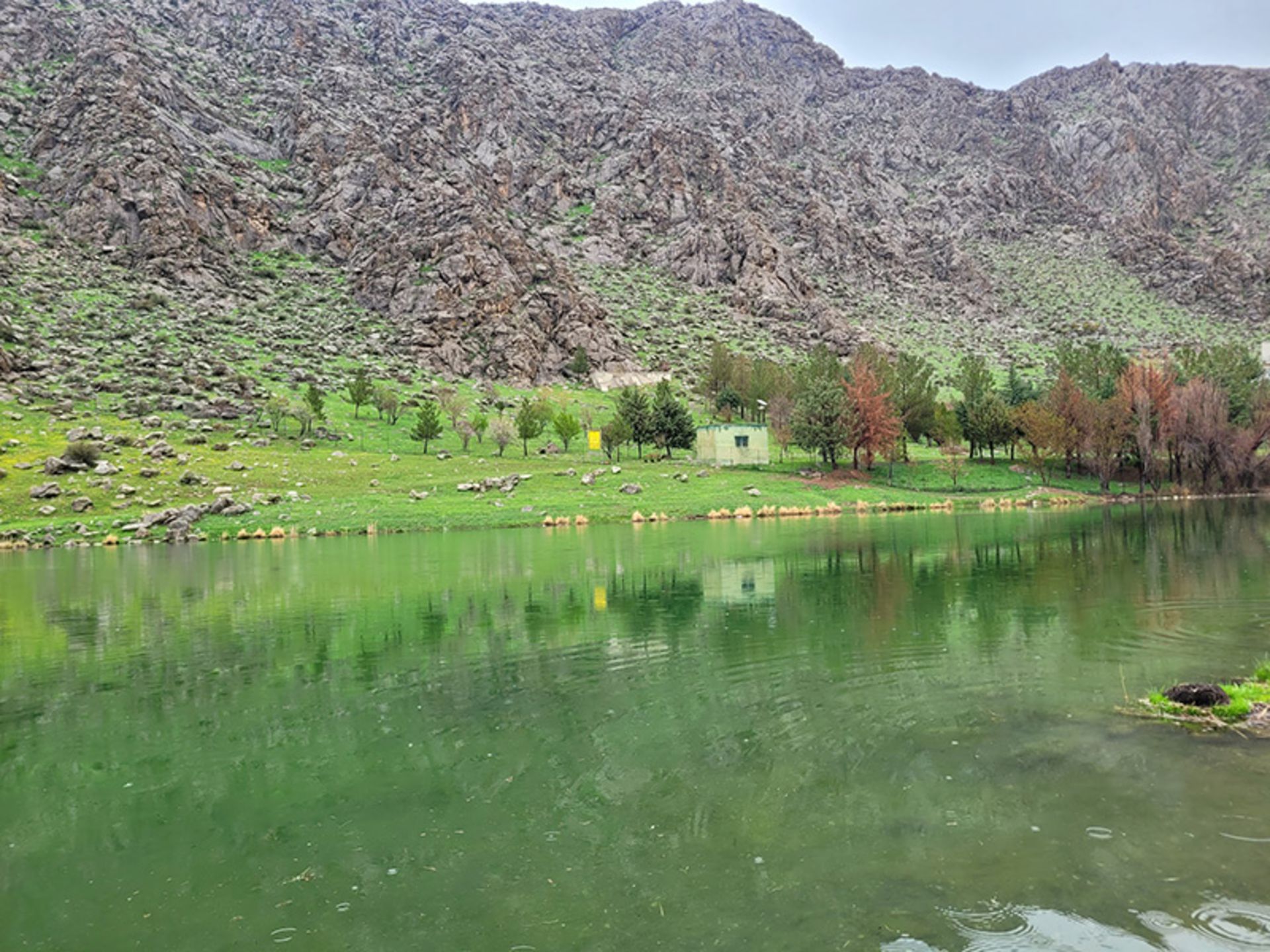 تالاب هشیلان در بهار