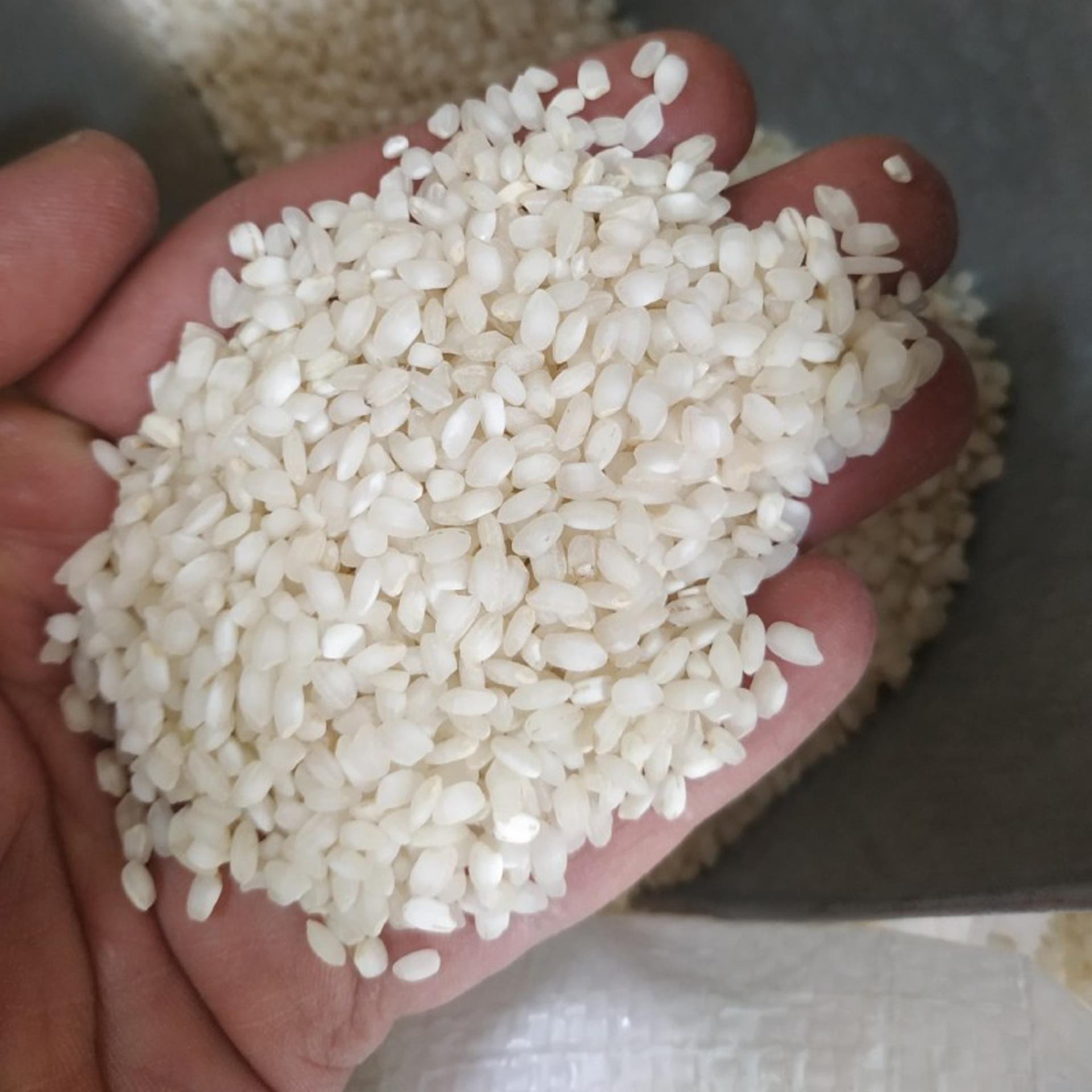 برنج گرده مریوان