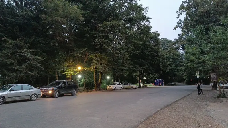 طبیعت سرسبز پارک جنگلی سیسنگان